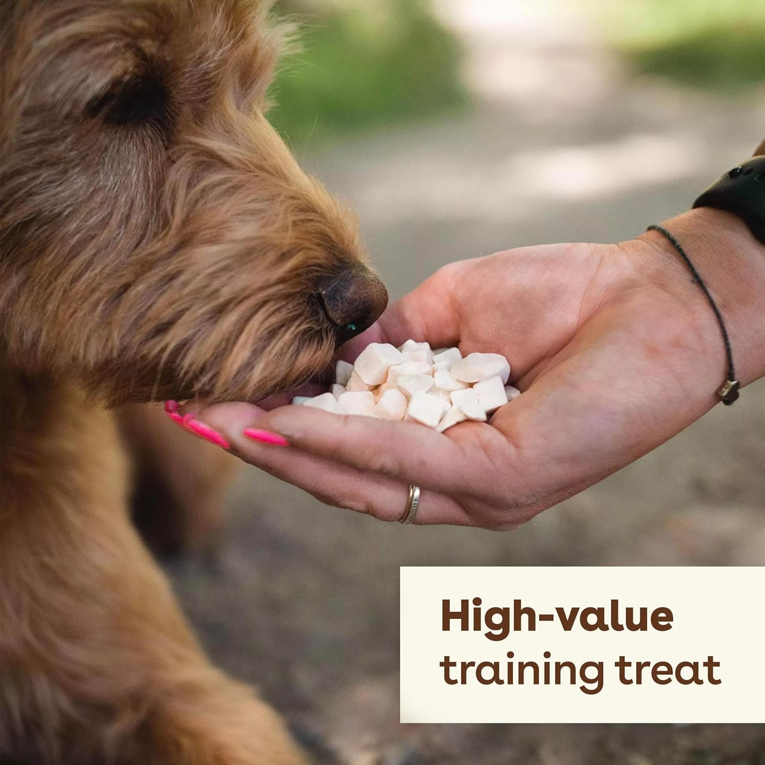 Pupford Freeze Dried Training Treats for Dogs & Puppies, 450+ One Ingredient Bites (Sweet Potato, 4 oz) : Pet Supplies