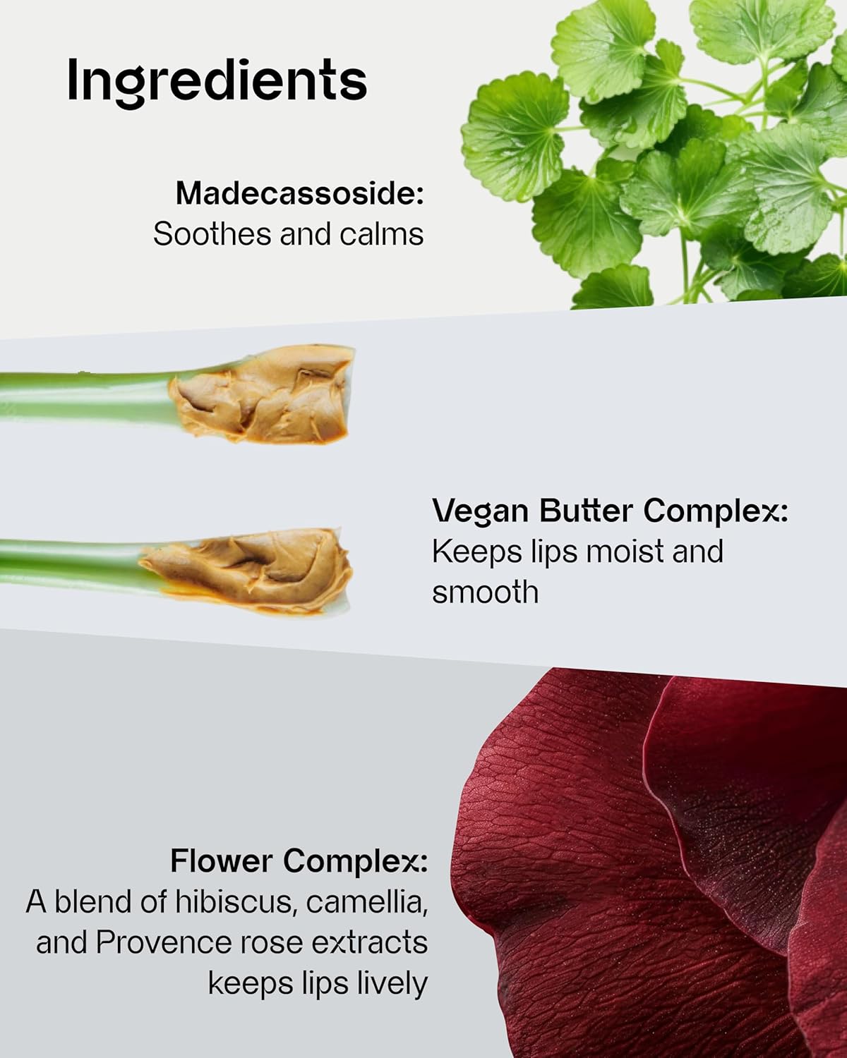 Sensual Vegan Lipstick Blur (02 Dreamy, 0.12Oz) - Long-Lasting Formula, Lightweight Matte Lipstick, Korean Makeup. Shea Cocoa Butter, Vegan