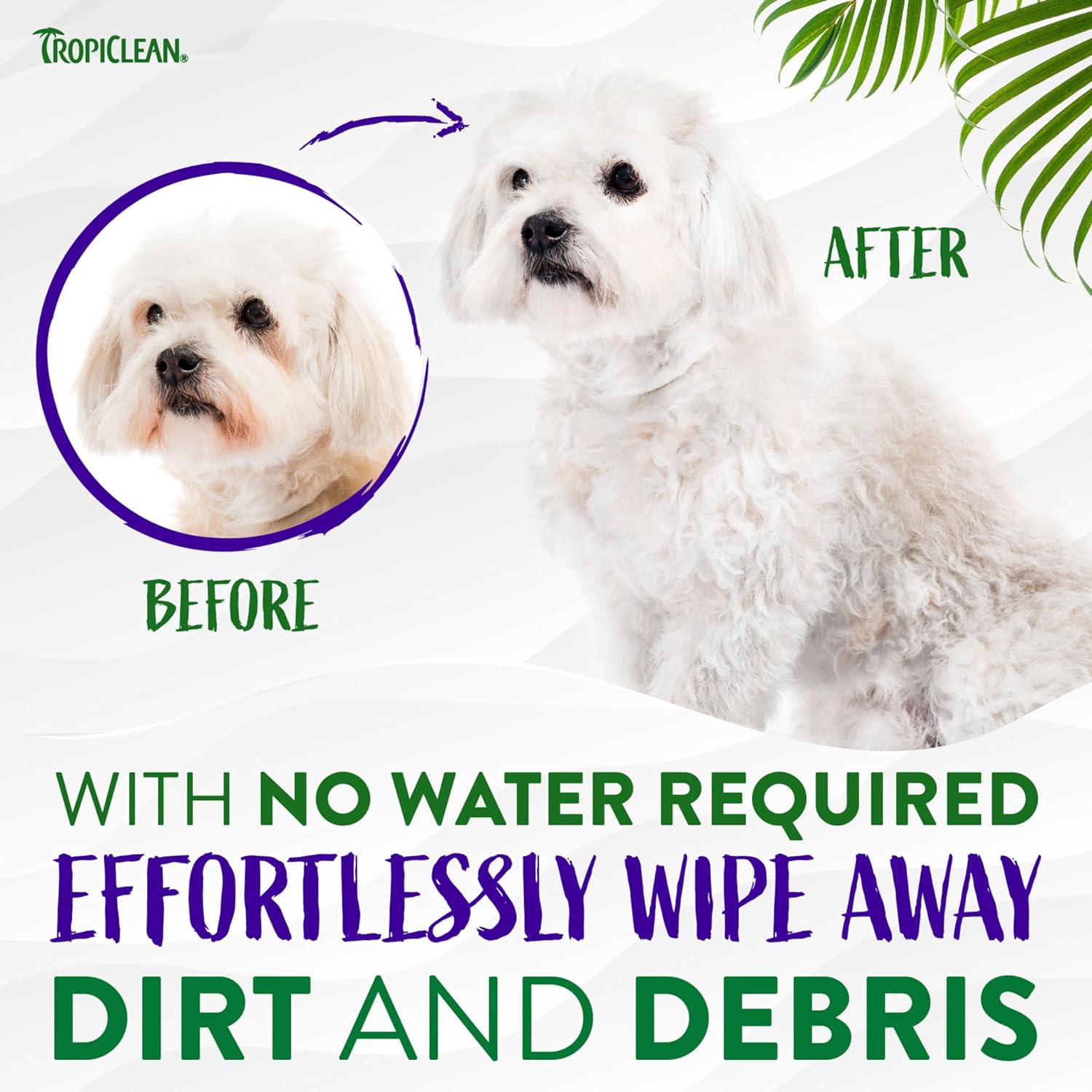 Tropiclean Waterless Facial Cleanser for Pets - Tearless, No-Rinse Formula - Helps Remove Stains and Dirt - For Dogs & Cats - Free from Parabens, Dye - Warm Vanilla, 220 ml :Pet Supplies