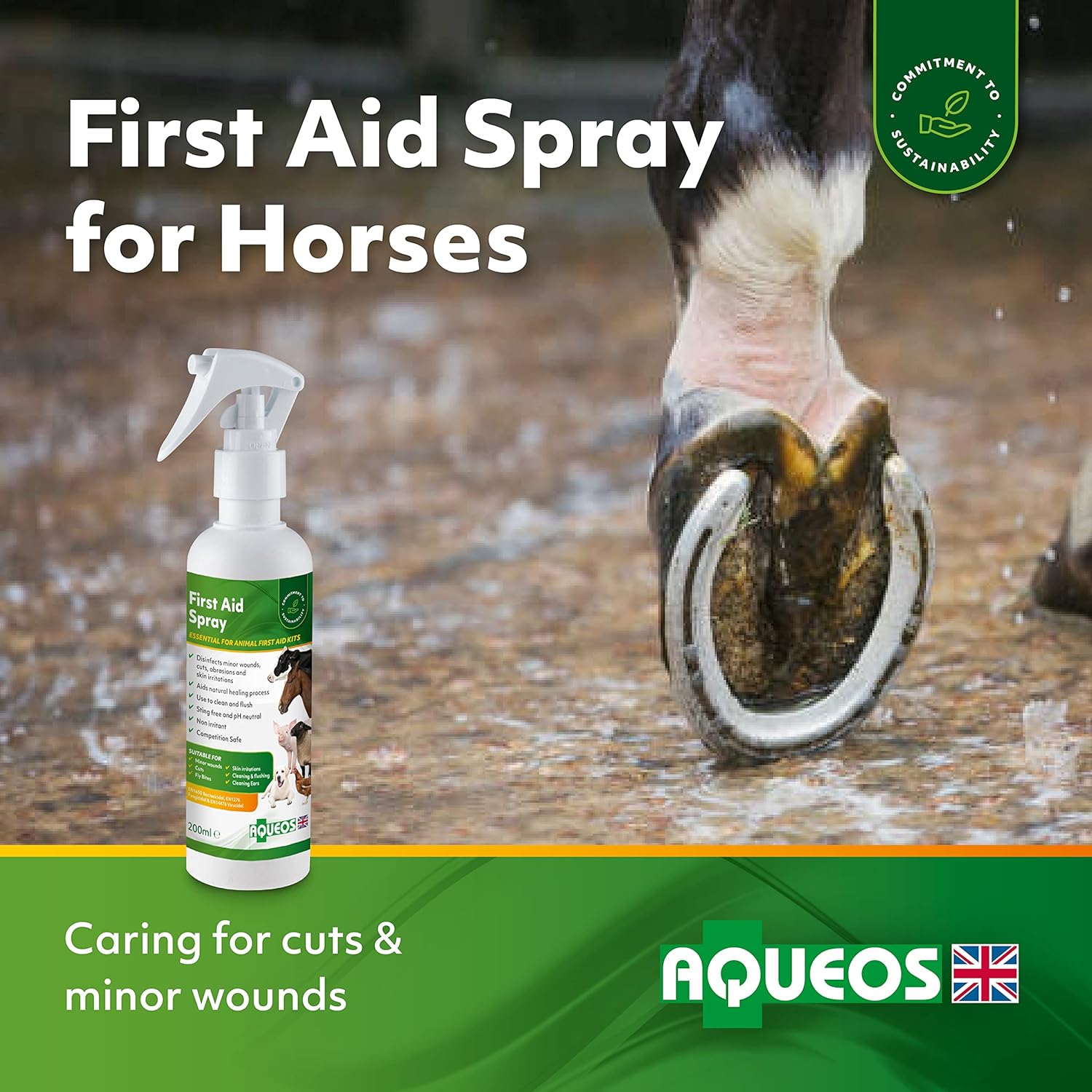 Aqueos First Aid Spray – First Aid Spray for Dogs Cat All Animals Antibacterial Antiviral Antifungal Minor Wound Spray Itchy Skin Relief Skin Care Dog Antiseptic Spray First Aid Kit for Dogs | 200 ml : Amazon.co.uk: Pet Supplies