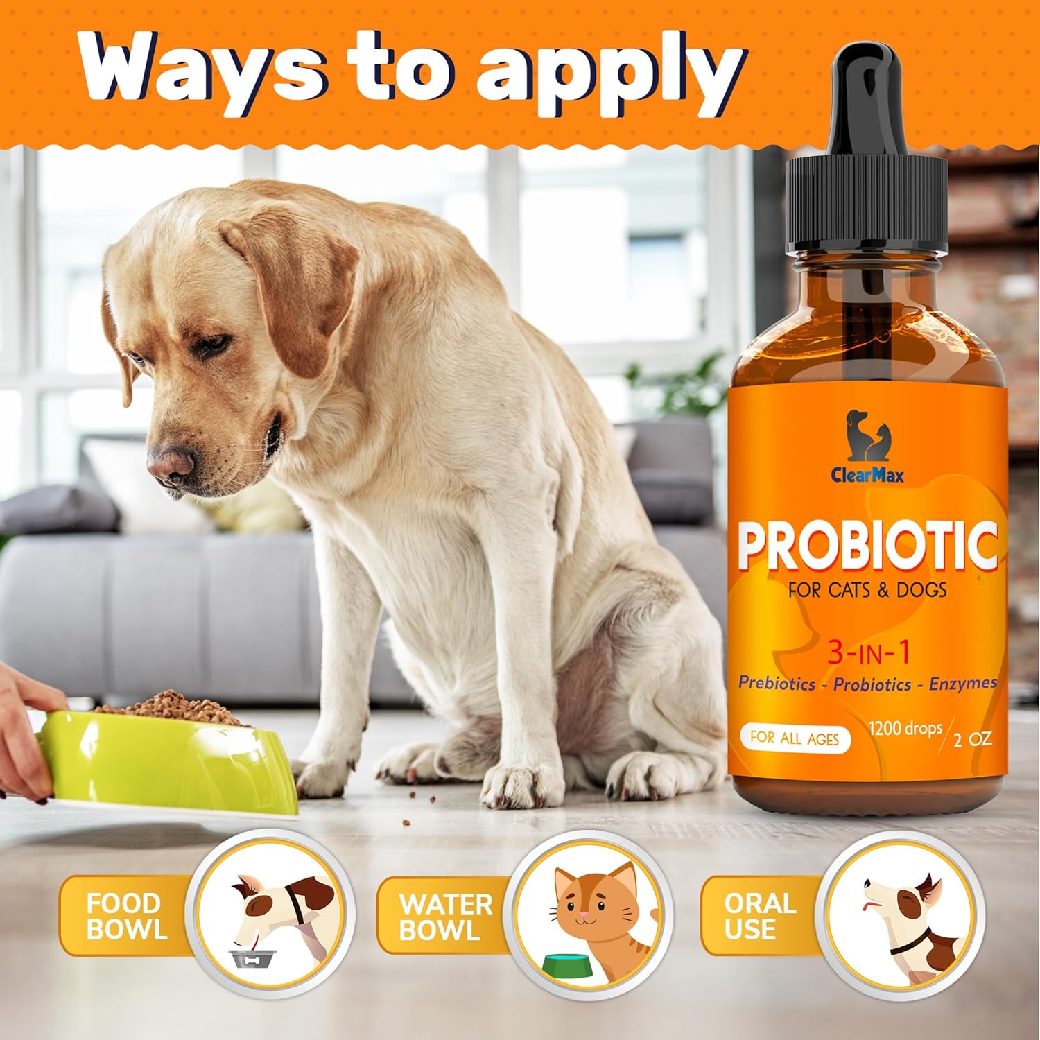 Probiotics for Dogs ? Cat Probiotic ? Great Dog Probiotics and Digestive Enzymes for Pet ? Dog Digestive Enzymes & Pure Prebiotic ? Canine Probiotic ? Probiotics for Cats ? Puppy Probiotic : Pet Supplies
