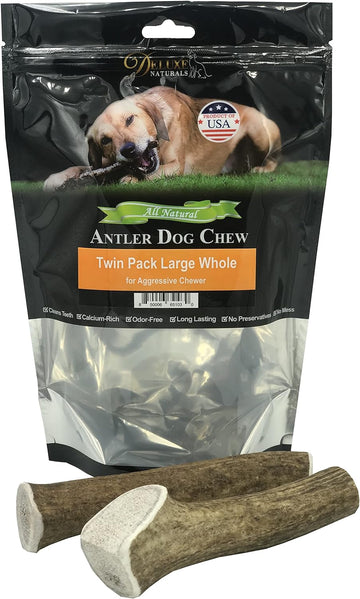 Elk Antler Chews for Dogs | Naturally Shed USA Collected Elk Antlers | All Natural A-Grade Premium Elk Antler Dog Chews | Product of USA, Twin Pack Large Whole