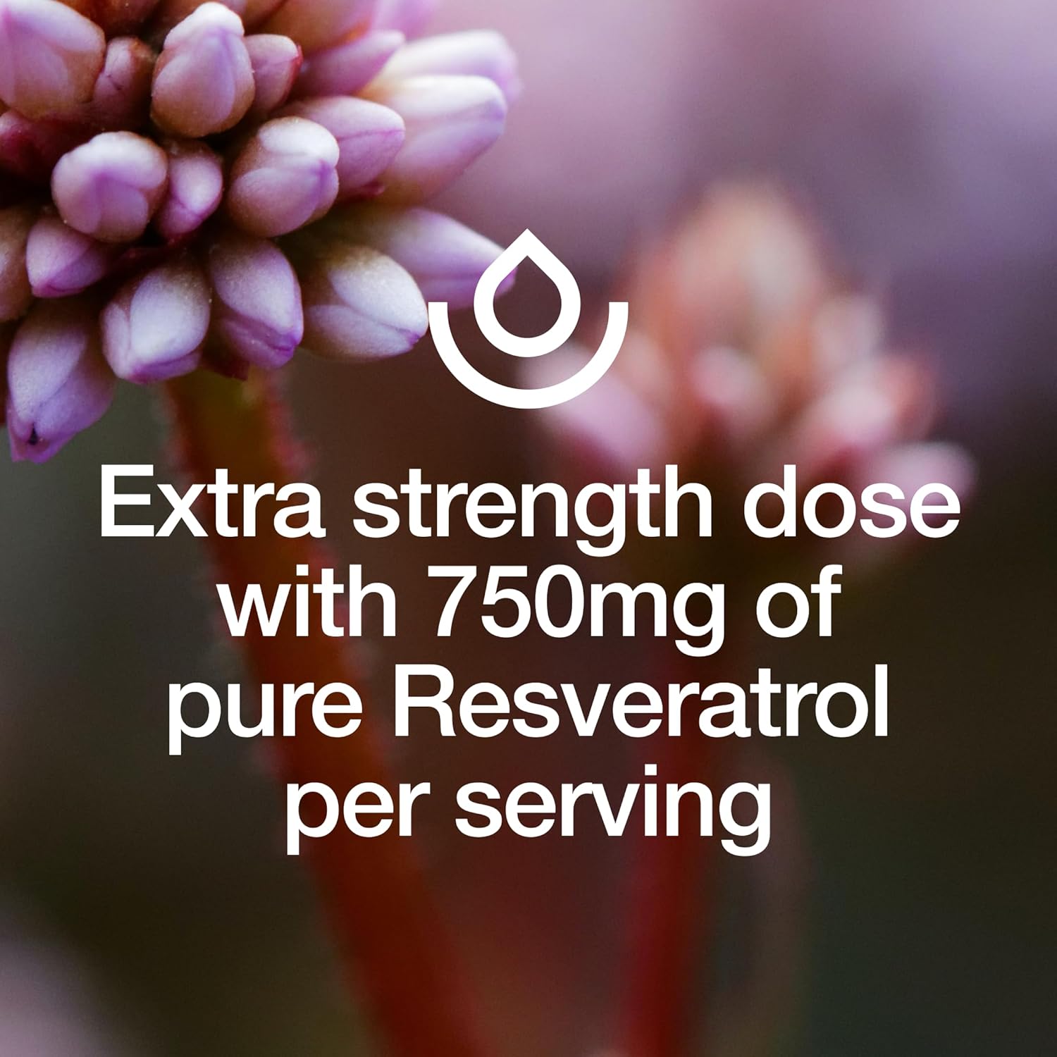 Resveratrol Supplement - Trans-Resveratrol Extra Strength 750Mg - Natural, Pure And Potent Polyphenols Supplement - Vegan, Non Gmo, Gluten-Free - 90 Capsules : Health & Household