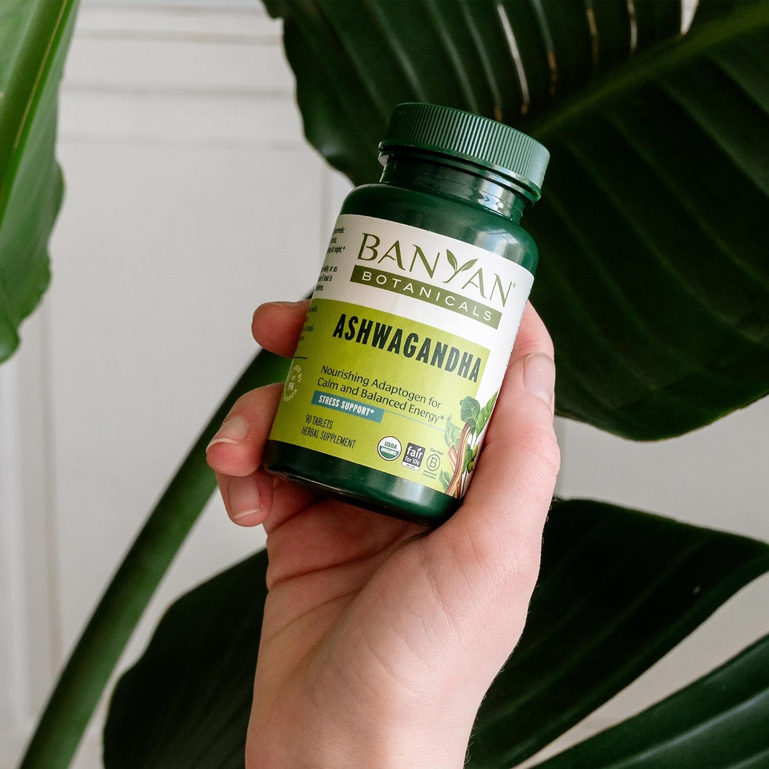 Banyan Botanicals Ashwagandha Tablets – Organic Ashwagandha Root – Renowned Herbal Adaptogen for Natural Energy Support and Stress Support* – 90 Tablets – Non-GMO Sustainably Sourced Vegan : Health & Household