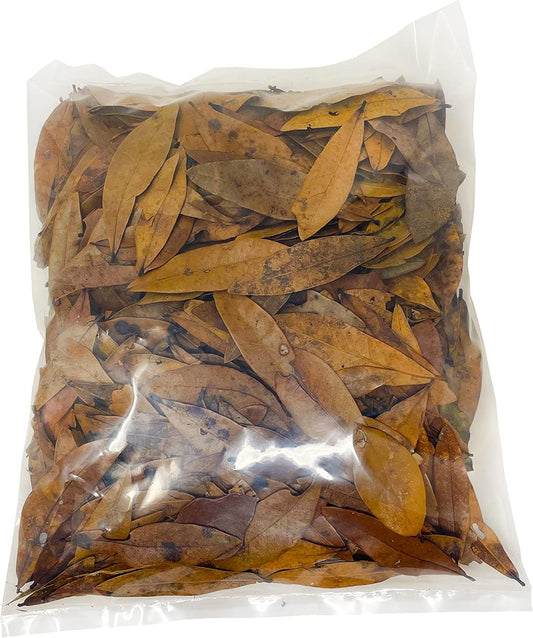 The Bio Dude Leaf Litter - Live Oak Litter - Great For Bioactive Terrariums, Vivariums And Fish : Pet Supplies
