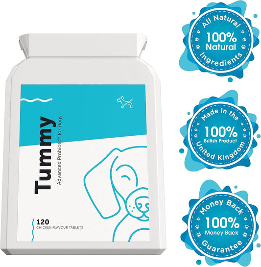 Tummy - Advanced Probiotic & Prebiotic for Dogs with Sensitive Stomachs, Gas, Itchy Skin | Digestive Enzymes to Better Digestive & Immune Health | 120 Tablets | 2 Billion CFUs | UK Made | Dog's Lounge