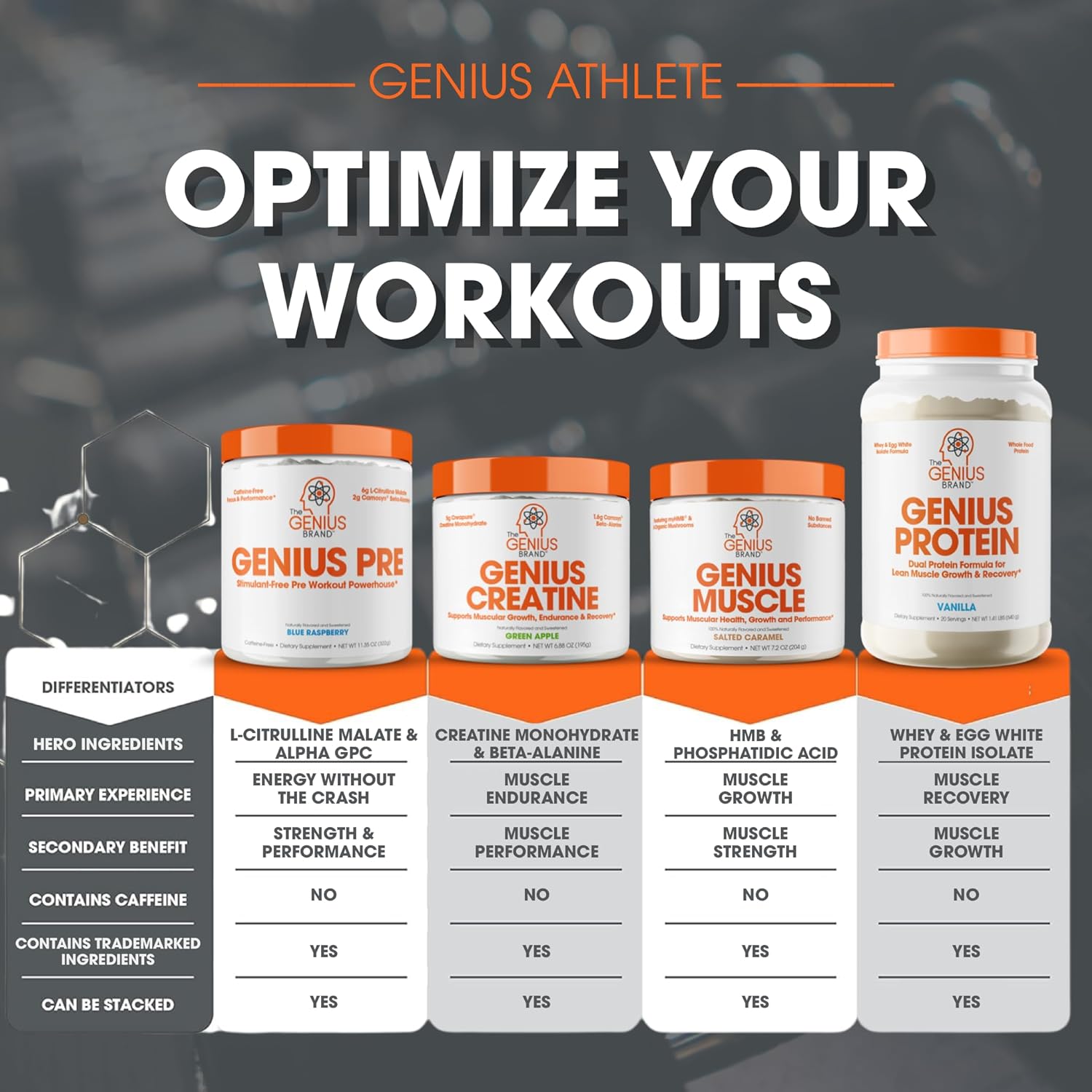 Genius Micronized Creatine Monohydrate Powder, Post Workout Supplement, Unflavored - 100% Naturally Flavored & Sweetened - Supports Muscle Building, Cellular Energy & Cognitive Function – 170g : Health & Household