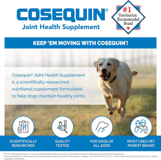 Nutramax Laboratories Cosequin DS Plus MSM Professional Line for Dogs, 60 soft chews