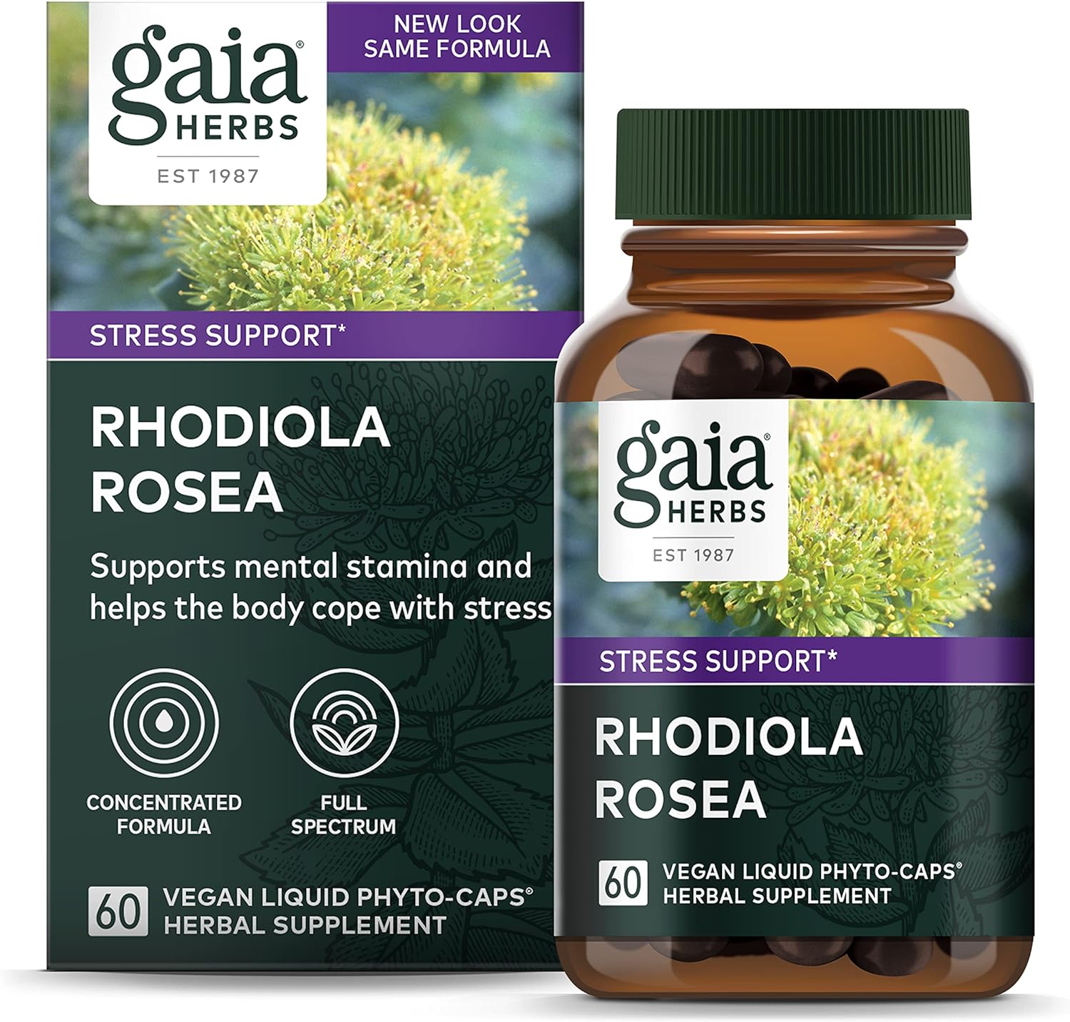 Gaia Herbs Rhodiola Rosea - Stress Support Supplement Traditionally For Supporting Healthy Stamina And Endurance - With Siberian Rhodiola Root Extract - 60 Vegan Liq Phyto-Capsules (30-Day Supply)