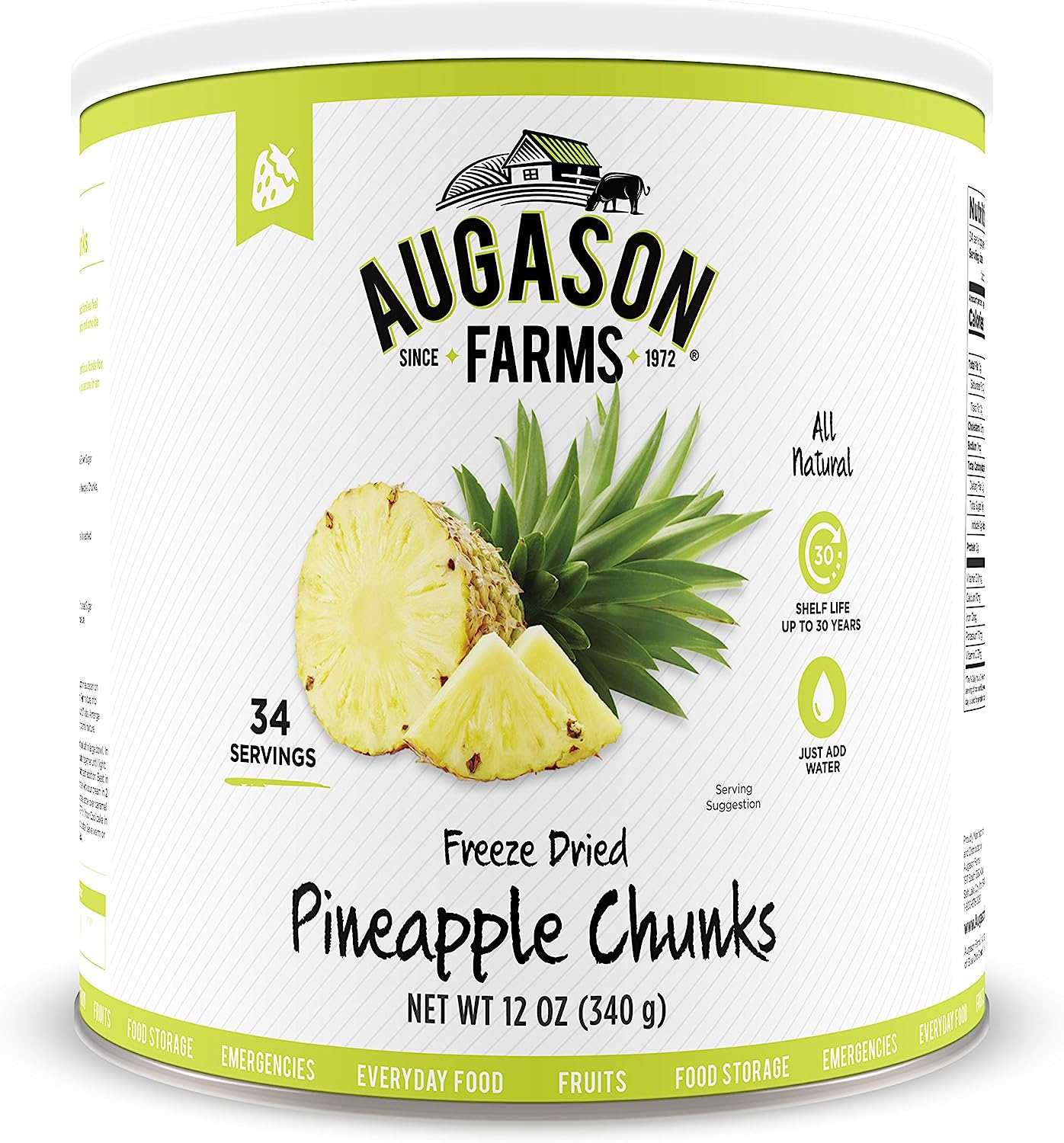 Augason Farms Freeze Dried Pineapple Chunks 12 Oz