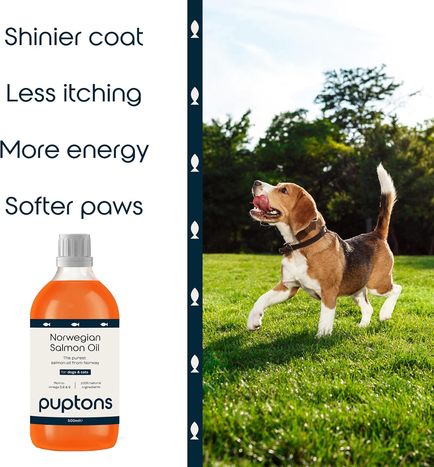 Salmon Oil for Dogs, Cats & Pets | 500ml Norwegian Salmon Oil | Omega 3, 6 & 9 Fish Oil Supplement | Helps Itchy Skin, Joint Care, Skin & Coat, Soft Paws (500ml) :Pet Supplies