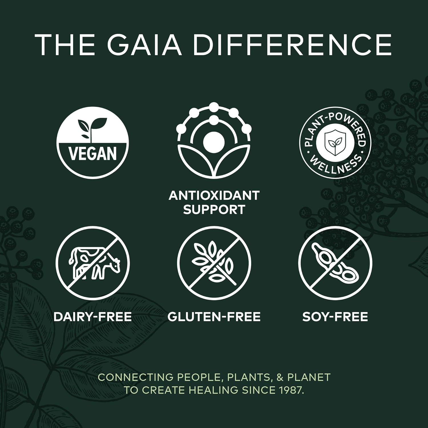 Gaia Herbs, Black Elderberry, Organic Sambucus Elderberry Extract for Daily Immune and Antioxidant Support, Vegan Powder Capsules, 60 Count