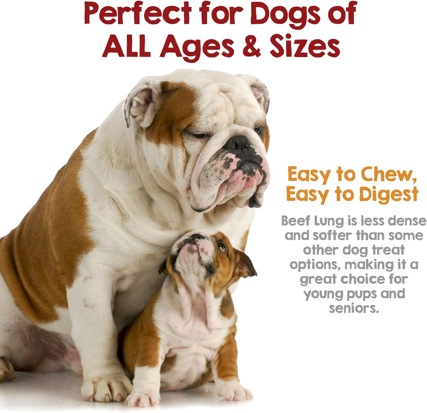 Riley's Beef Lung Dog Treats Made in USA - USA Sourced Single Ingredient Dog Treat - Nutritious Chews for All Dog Sizes - Rawhide Alternative Dog Chews - No Raw Hide Chews - 8 oz : Pet Supplies