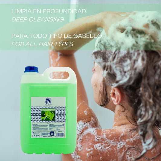 Valquer - Special Chlorophyll Shampoo For Hairdressers - Professional Shampoo - Carafe 5 L