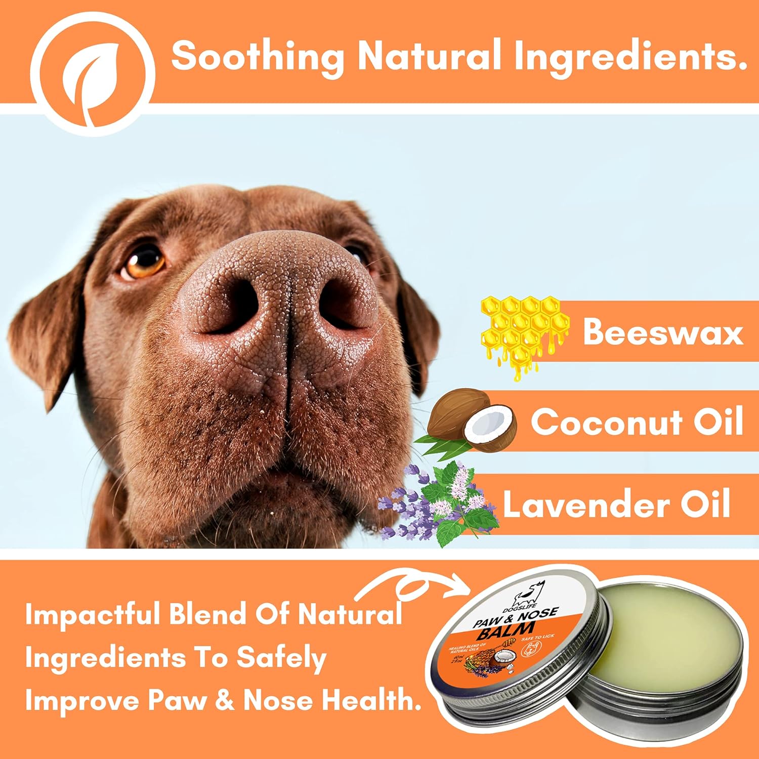 Organic Dog Paw & Nose Balm | 100% Natural Paw & Nose Balm To Repair Cracked Paws & Itchy Noses | Anti Fungal Paw Cream & Lick Safe Protection For Dogs Paws & Noses :Pet Supplies