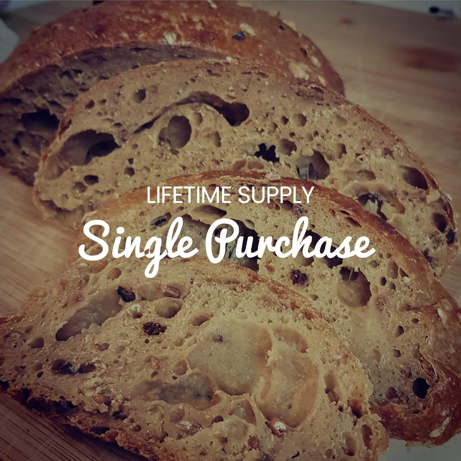 Freshly Fermented – Organic & Vegan Certified Freeze Dried Sourdough Culture, San Francisco Style : Amazon.co.uk: Grocery