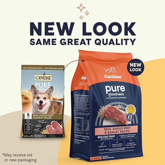 Canidae Pure Adult Dry Dog Food With Wholesome Grains, Real Beef & Barley Recipe, 4 Lbs