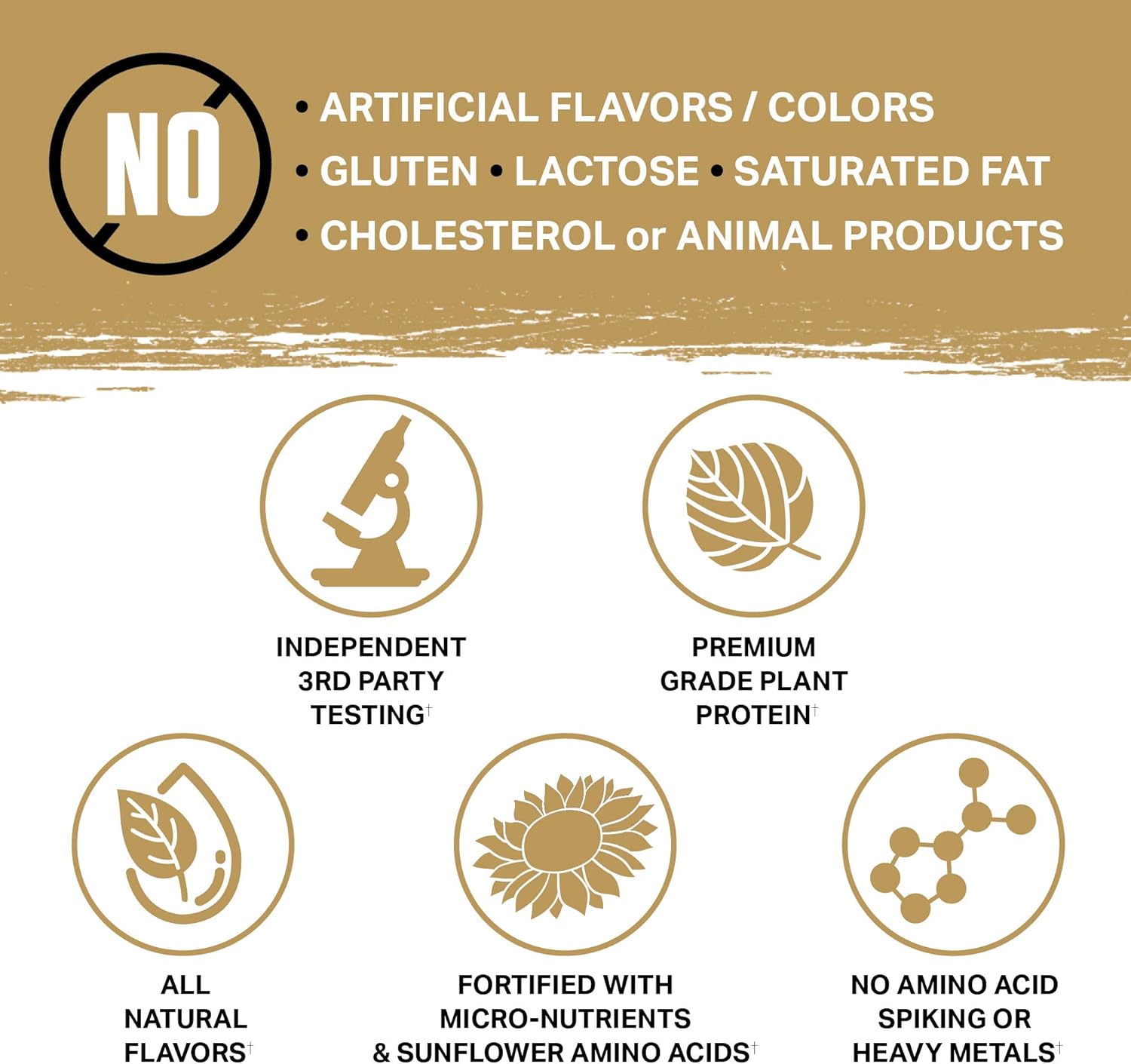 Ambrosia Planta - Premium Organic Plant-Based Protein | Vegan & Keto Friendly | Gourmet Flavors With No Bloating Or Stomach Upset | Gluten & Soy Free | No Added Sugar | 25 Servings | Vanilla : Health & Household
