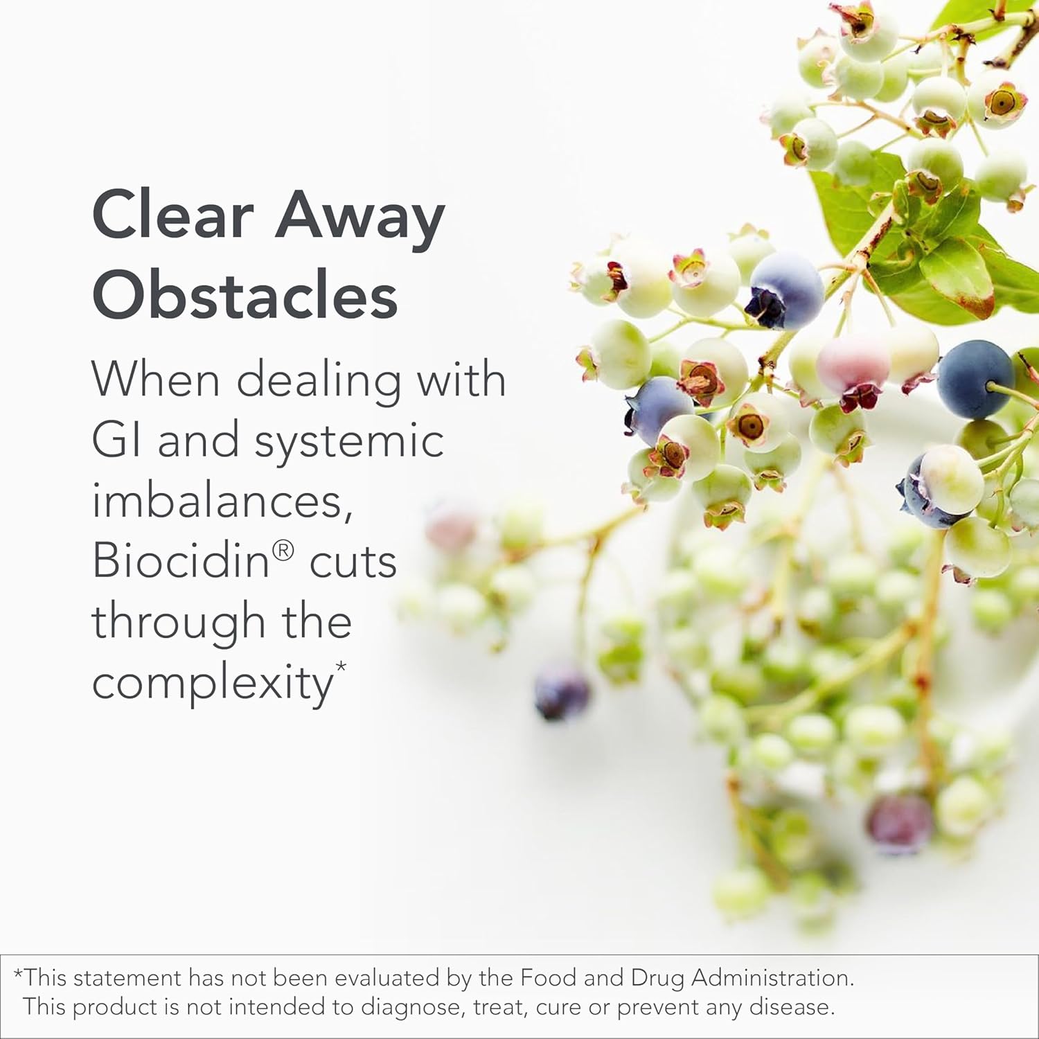 Biocidin Capsules - Biofilm Disruptor - Supports Gut Detox Cleanse, Healthy Microbial Balance, Immune Function & Gut Health - Professional-Grade Herbal Supplement With 18 Botanicals (90 Capsules) : Health & Household