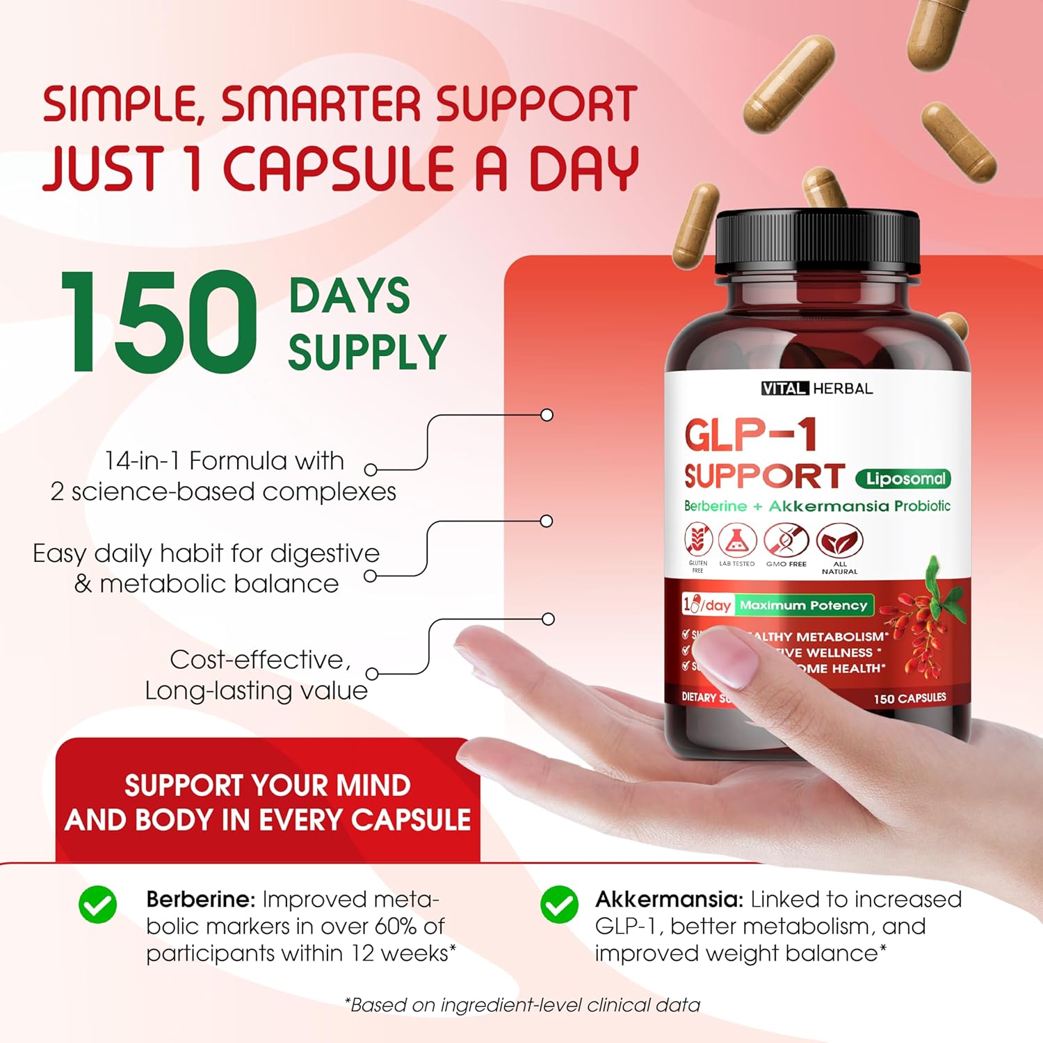 Vital Herbal Liposomal Glp-1 Support With Berberine & Akkermansia Probiotic Cinnamon – Supports Metabolism, Digestion & Microbiome Health – 150 Capsules – Made In The Usa : Health & Household