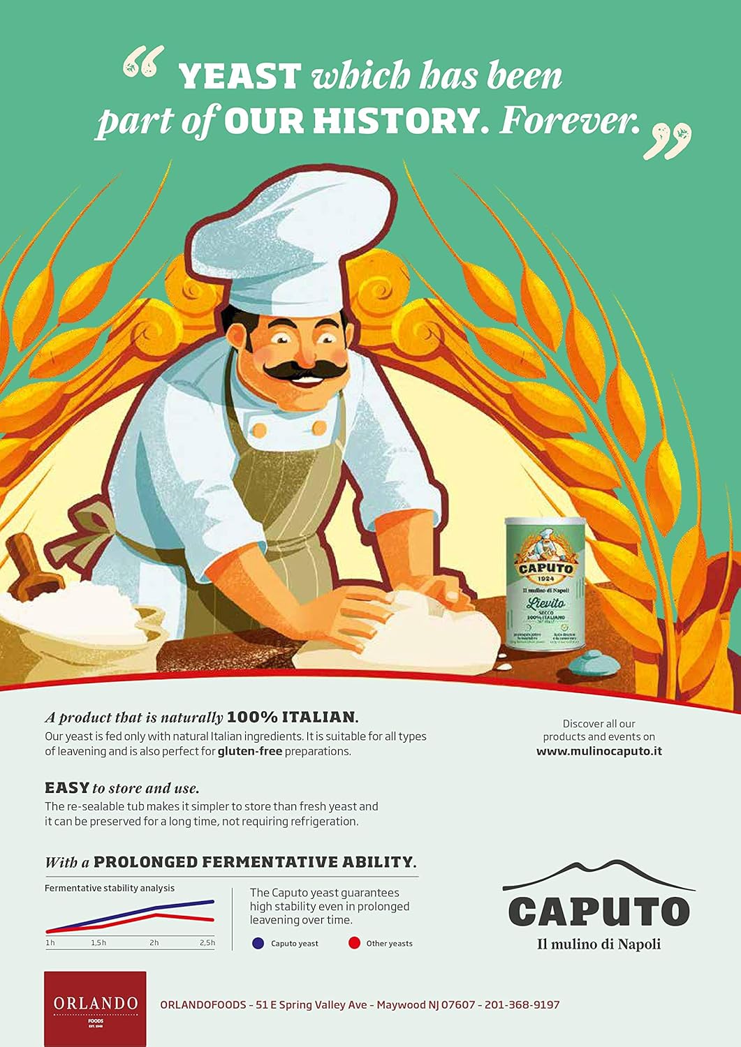 Antimo Caputo Lievito Active Dry Yeast 3.5 Ounce Can - Made in Italy - Perfect with 00 Flour : Grocery & Gourmet Food