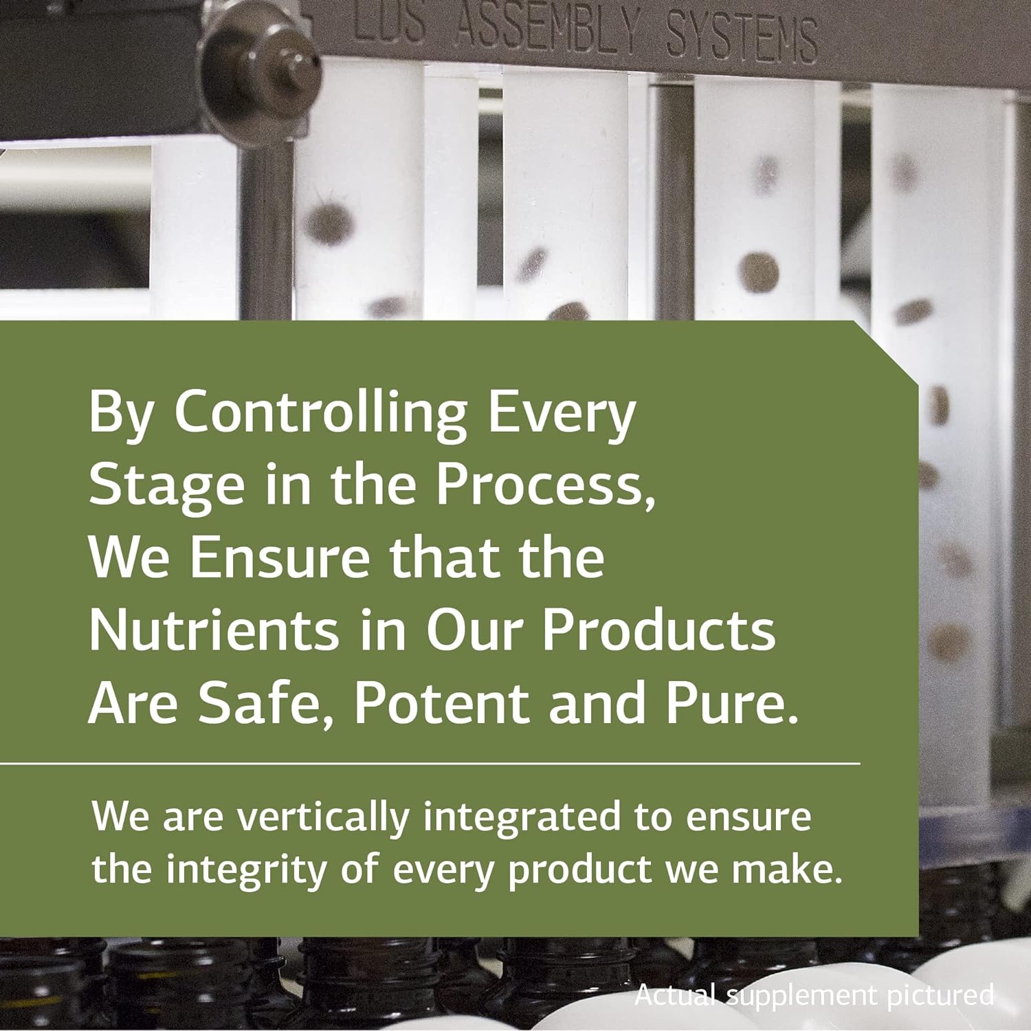 Standard Process Collinsonia Root - Whole Food Vascular Supplement, Digestive Health, Bladder Support, Digestion, and Kidney Support with Collinsonia Root -150 Capsules : Health & Household