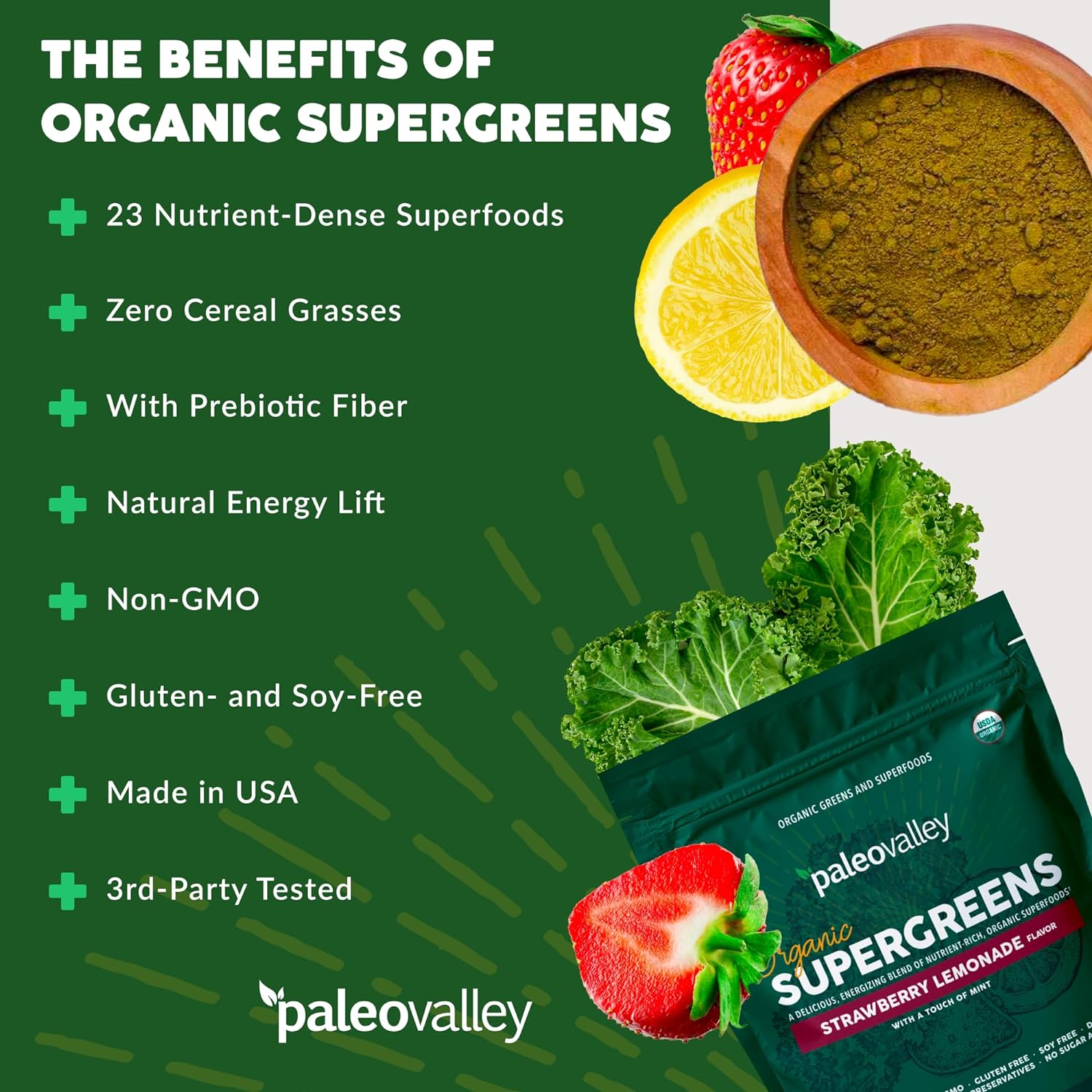 Paleovalley Organic Supergreens - Organic Greens Powder Superfood for Immune Support - Paleo Green Powder Blend - 28 Servings - 23 Organic Superfoods - Gluten Free, No Cereal Grasses, Soy or Grain : Health & Household
