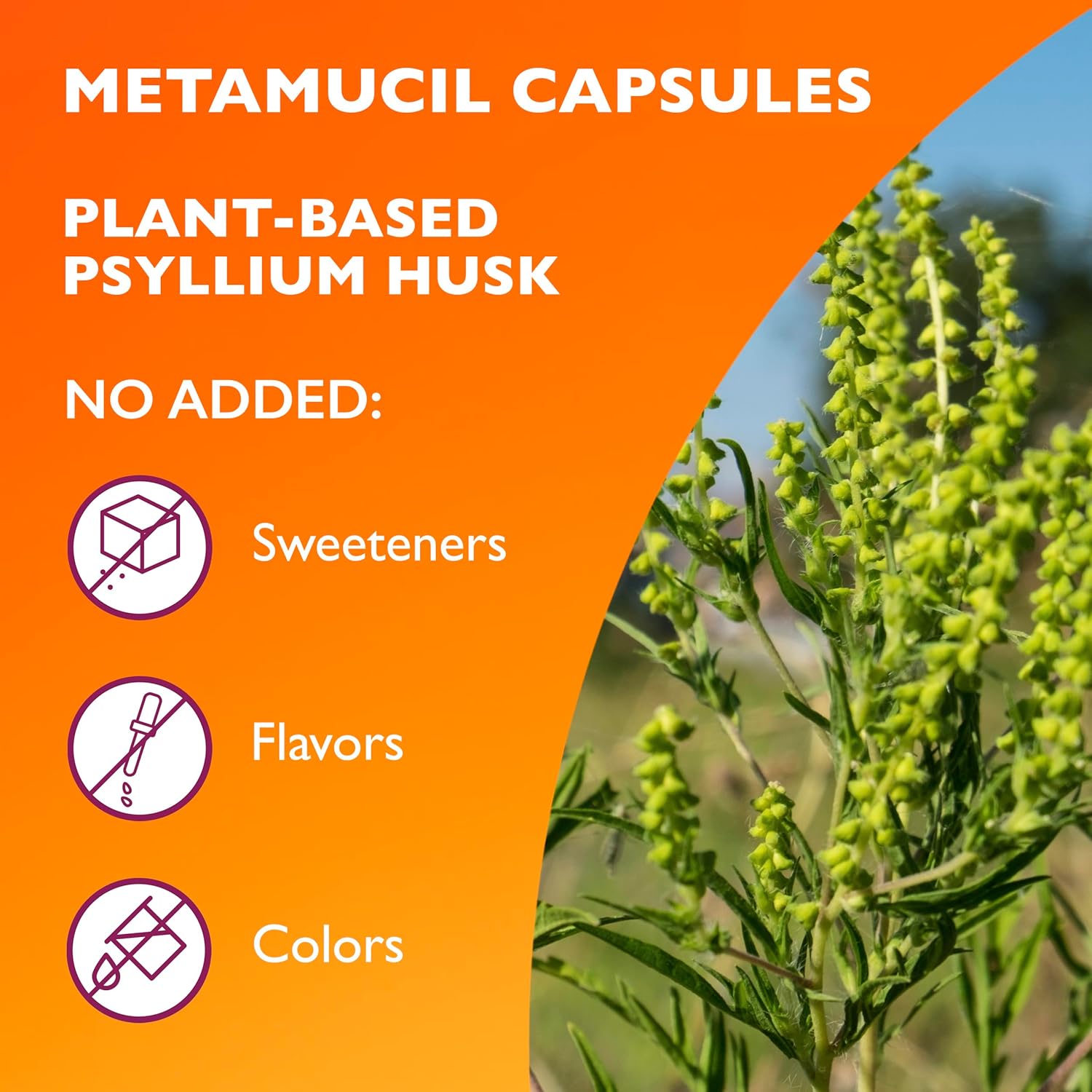 Metamucil, Daily Psyllium Husk Powder Supplement, 3-In-1 Fiber Supplement For Digestive Health, Plant Based Fiber Supplement, 300Ct Capsules : Health & Household