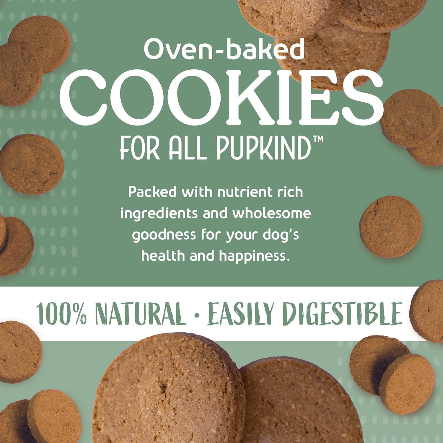 Chicken Pot Pie Cookies|Lactose Free - Soy Free - Gluten Free - Wheat Free | USA Made | for All Breeds | 14 oz of All Natural, Baked, Crunchy Goodness