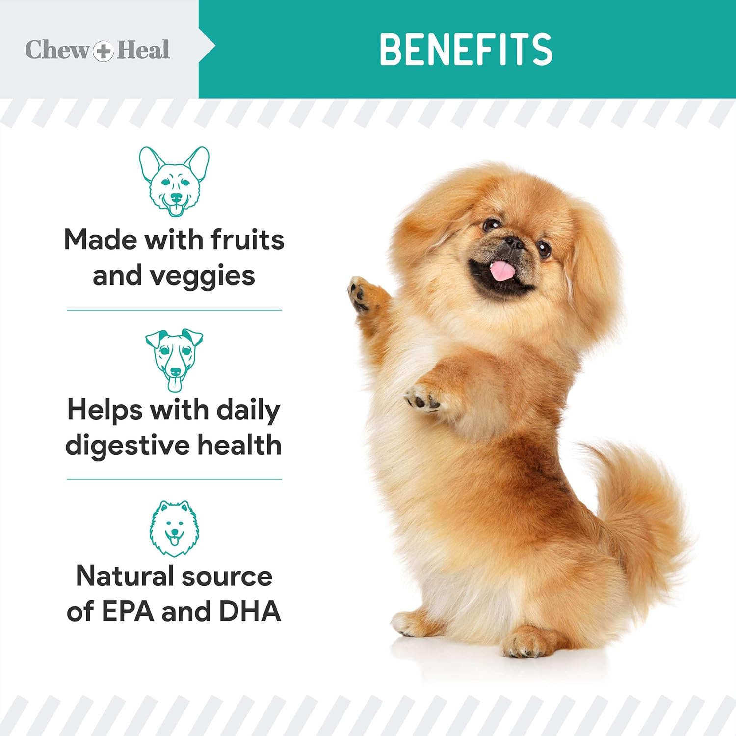 Chew + Heal Labs Probiotic Salmon Jerky Dog Treats - 12 oz of Salmon Jerky for Digestive Health - Made with Wild Alaskan Salmon, Apples, Pumpkin, Pea Protein, and More - Made in The USA : Pet Supplies