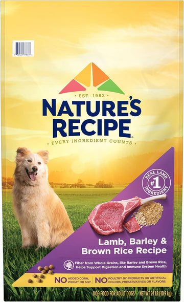 NatureS Recipe Lamb, Barley & Brown Rice Recipe Dry Dog Food, 24 Lb. Bag