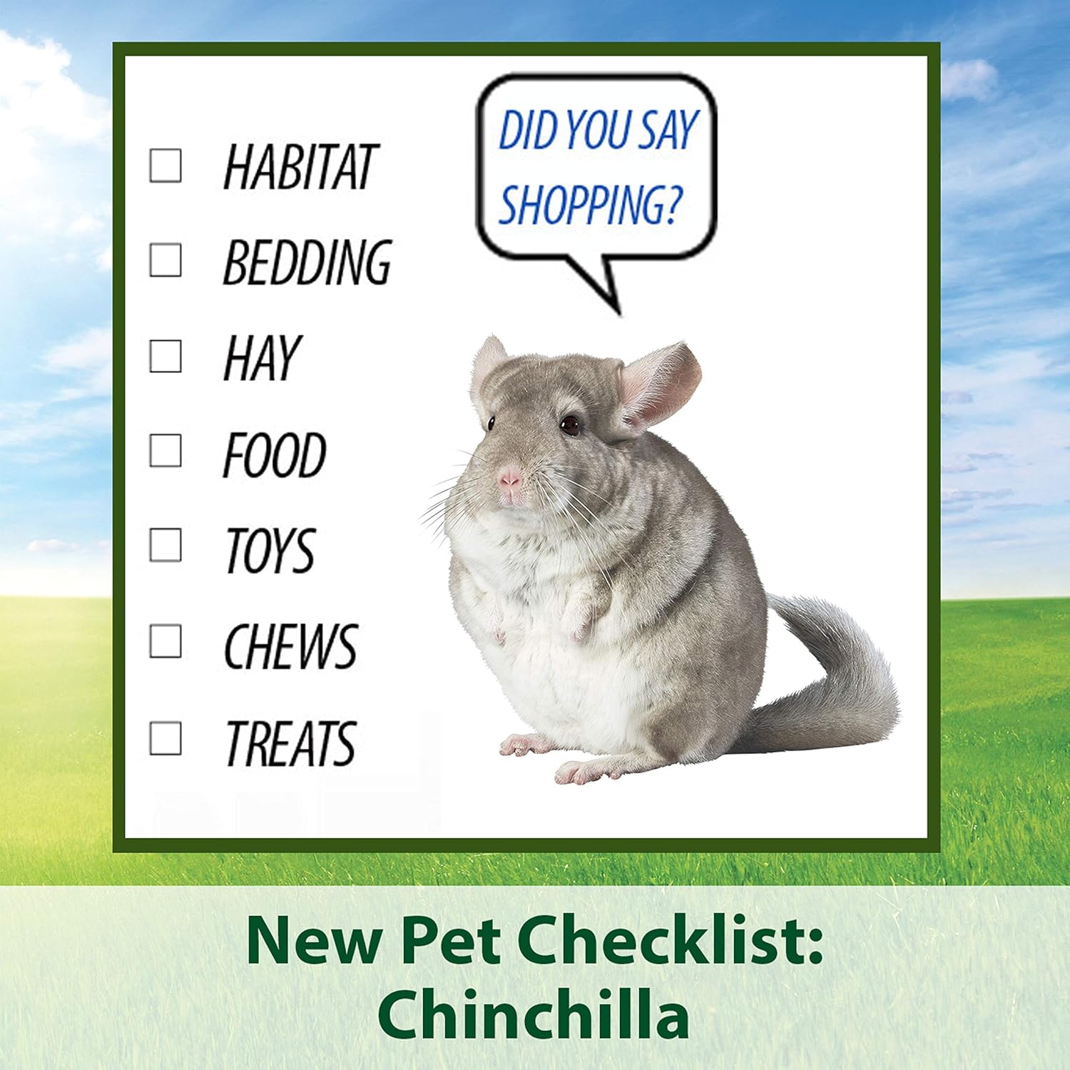 Kaytee Timothy Complete Pet Chinchilla Food, 3 Pound : Pet Food : Pet Supplies