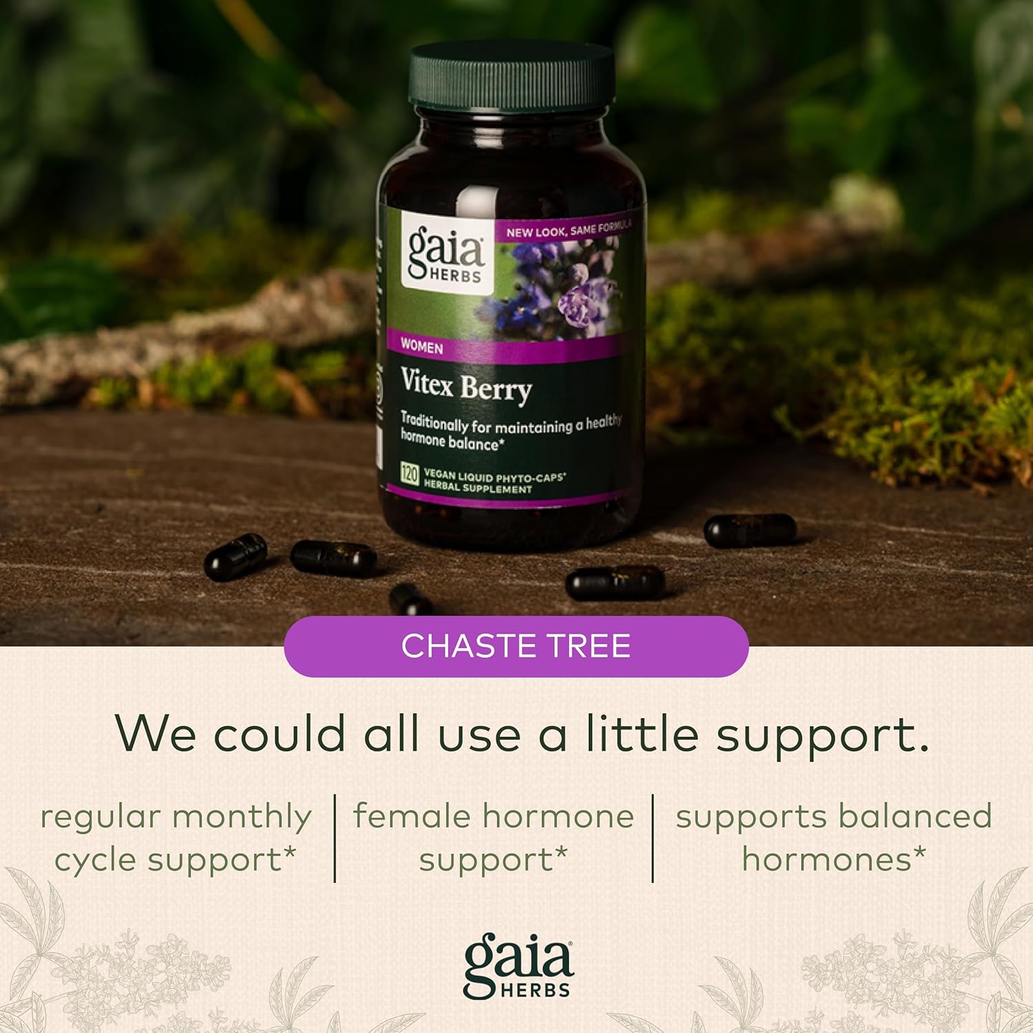 Gaia Herbs Vitex Berry (Chaste Tree) - Supports Hormone Balance & Fertility for Women - Helps Maintain Healthy Progesterone Levels to Support Menstrual Cycle Health - 180 Vegan Caps (90-Day Supply) : Health & Household