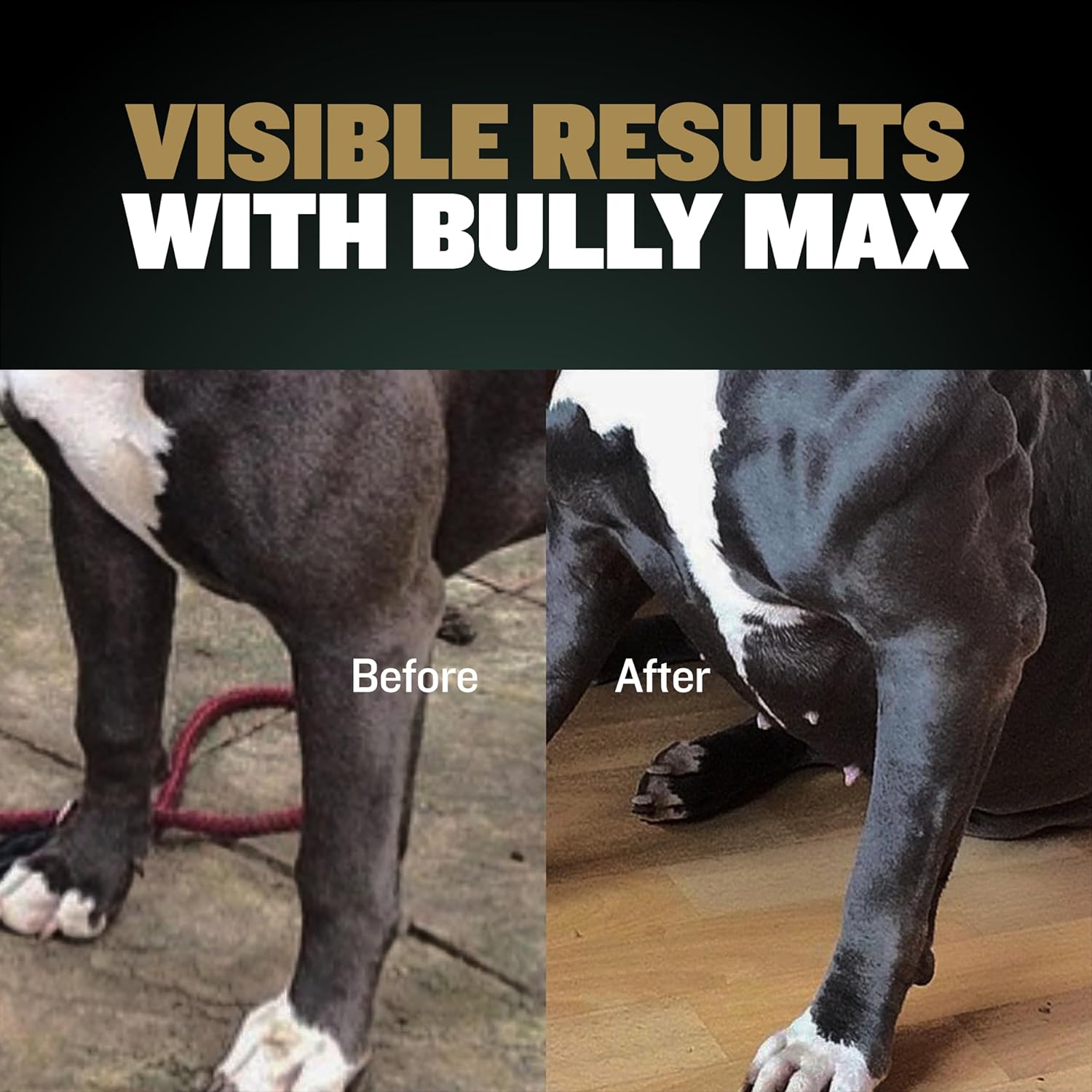 Bully Max 11-in-1 Muscle Gain Power Chews - High Protein Dog Food Health Supplement for Puppy and Adult Dogs | Premium Muscle Builder for All Breeds with Natural Ingredients - 75 Tasty Soft Dog Chews : Pet Supplies