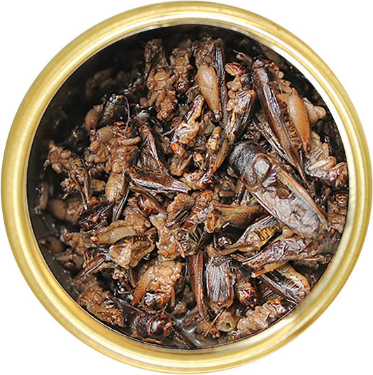 Canned Crickets (1.2 Oz.) - Healthy High Protein Insect Treat - Hedgehogs, Sugar Gliders, Reptiles, Wild Birds, Chickens, Lizards, Bearded Dragons, Skunks, Opossums, Fish, Amphibians, Turtles