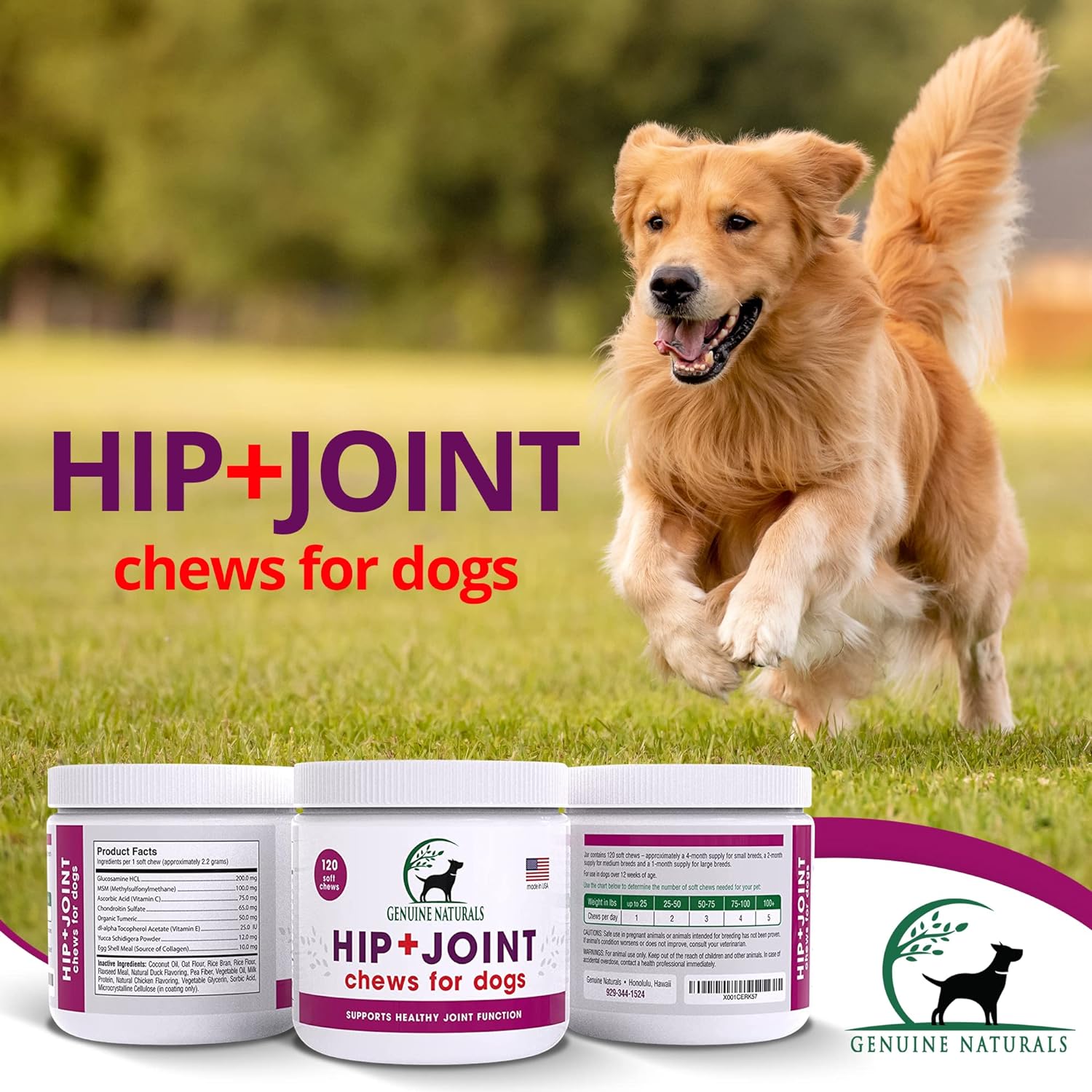 Genuine Naturals Hip and Joint Supplement for Dogs - Glucosamine Chondroitin, MSM, Organic Turmeric Soft Chews, Dog Vitamins, Supports Healthy Joint Function and Helps with Pain Relief,120 Count : Pet Supplies
