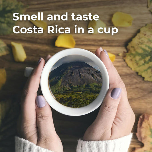 Coffee From Costa Rica Medium Roast Ground - 1 Bag (12Oz) - 100% Fresh Arabica Beans - By Liquid Gold - Local Athentic Sourced Coffee From Costa Rican Farmers - Made And Roasted In Usa