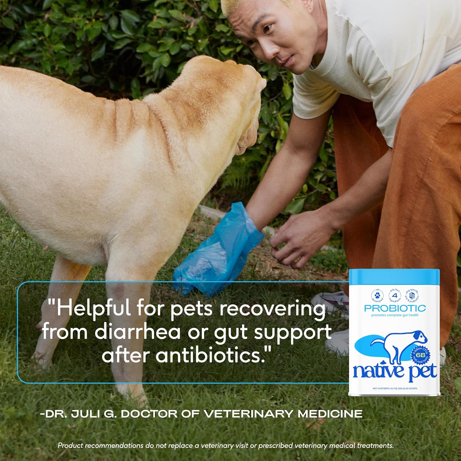 Native Pet Probiotic for Dogs - Vet Created Powder Digestive Issues Dog + Prebiotic Bone Broth 232 Gram 6 Billion CFU- Probiotics Love! (16.4 oz) : Pet Supplies