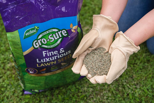 Gro-Sure Finest Lawn Seed, 30 m2, 900 g