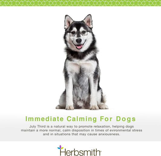 Herbsmith July Third - Canine Calming Chews - Calming Herbs For Dogs - Anxiety Supplements For Dogs - 30Ct Small Chews