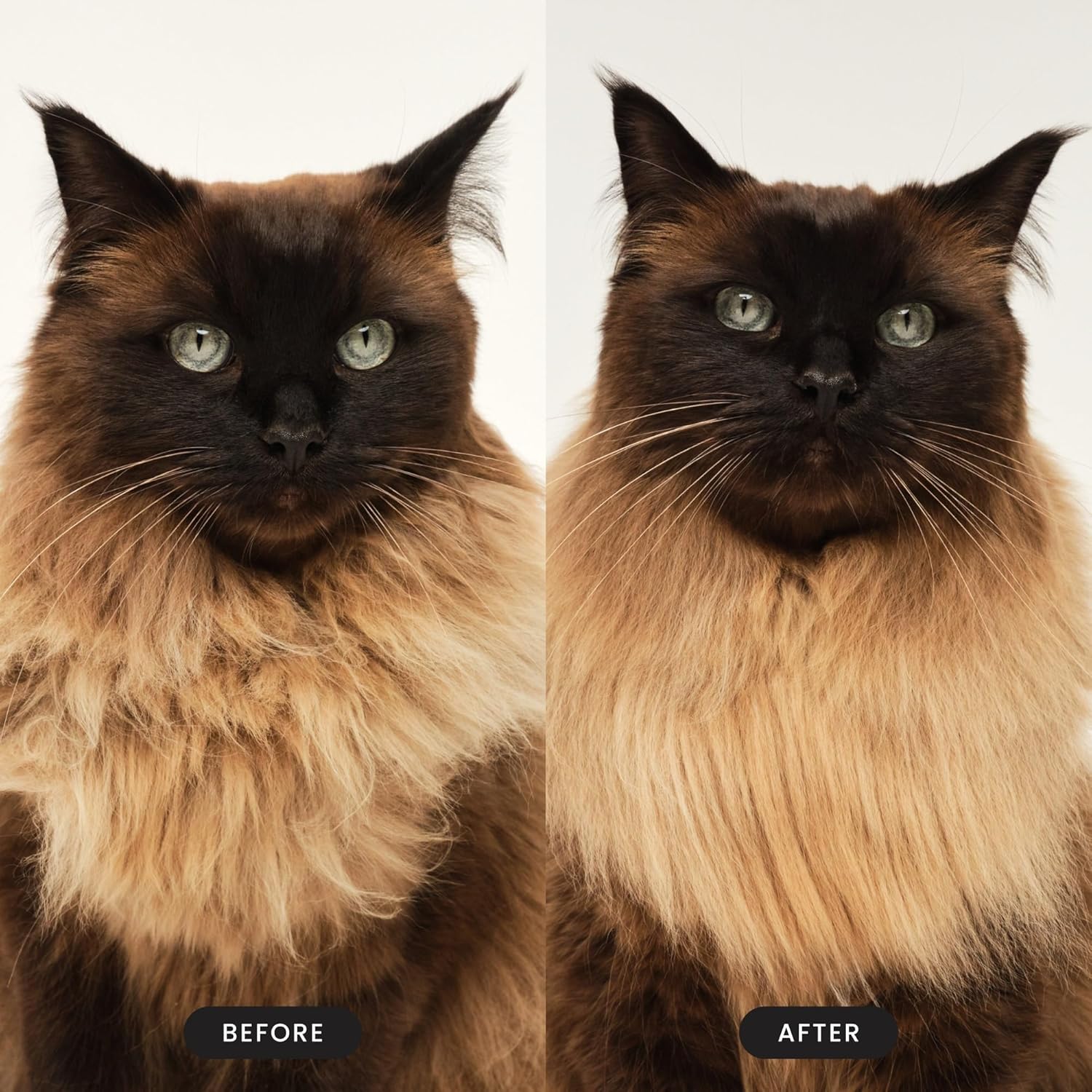 Tangle Teezer Pet Teezer Cat Brush - For Kittens & Cats with Short to Medium Hair - Two-Tiered Grooming Brush for Cats Adds Smoothness & Shine - Pink : Amazon.co.uk: Pet Supplies