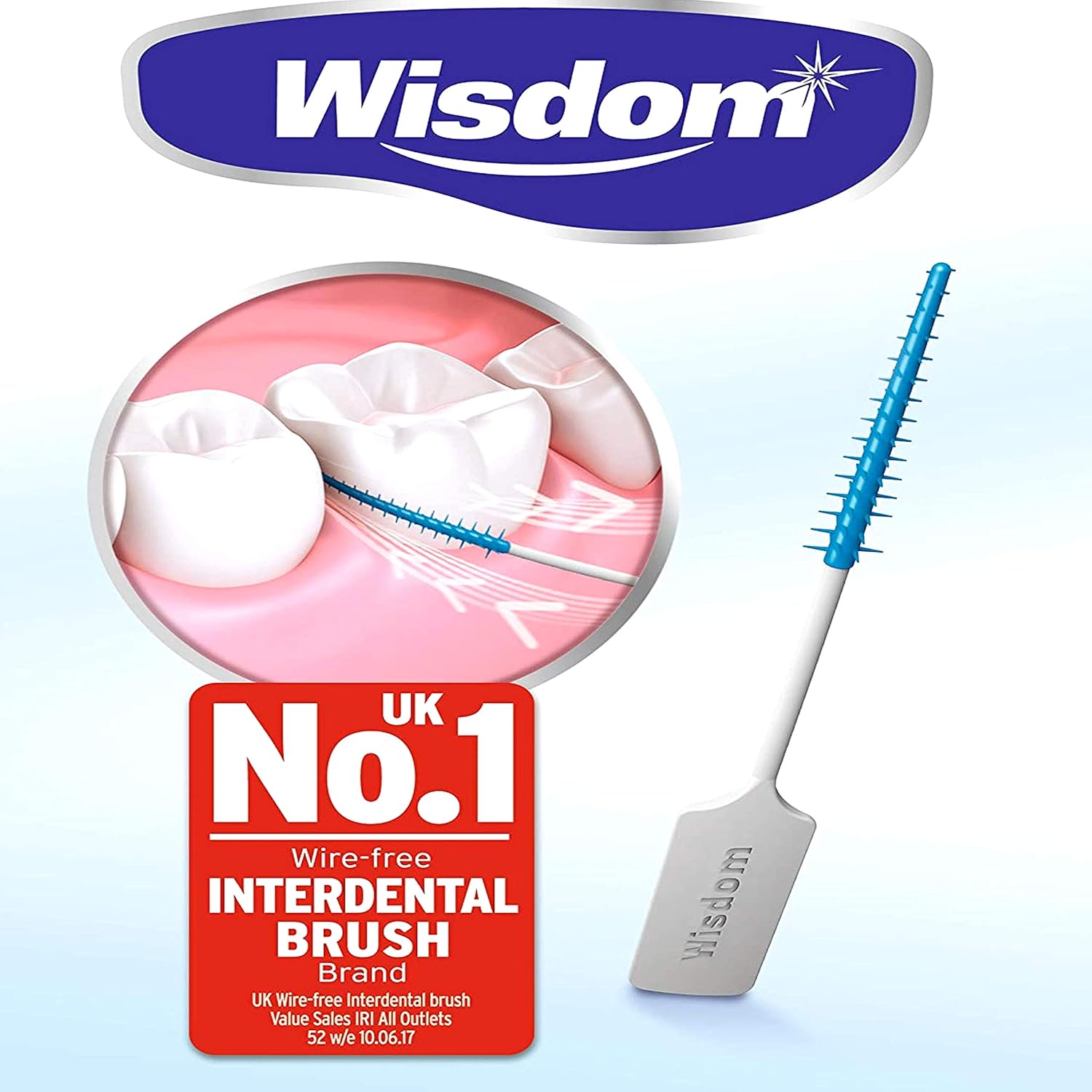 Wisdom Large Purple Clean Between Interdentals