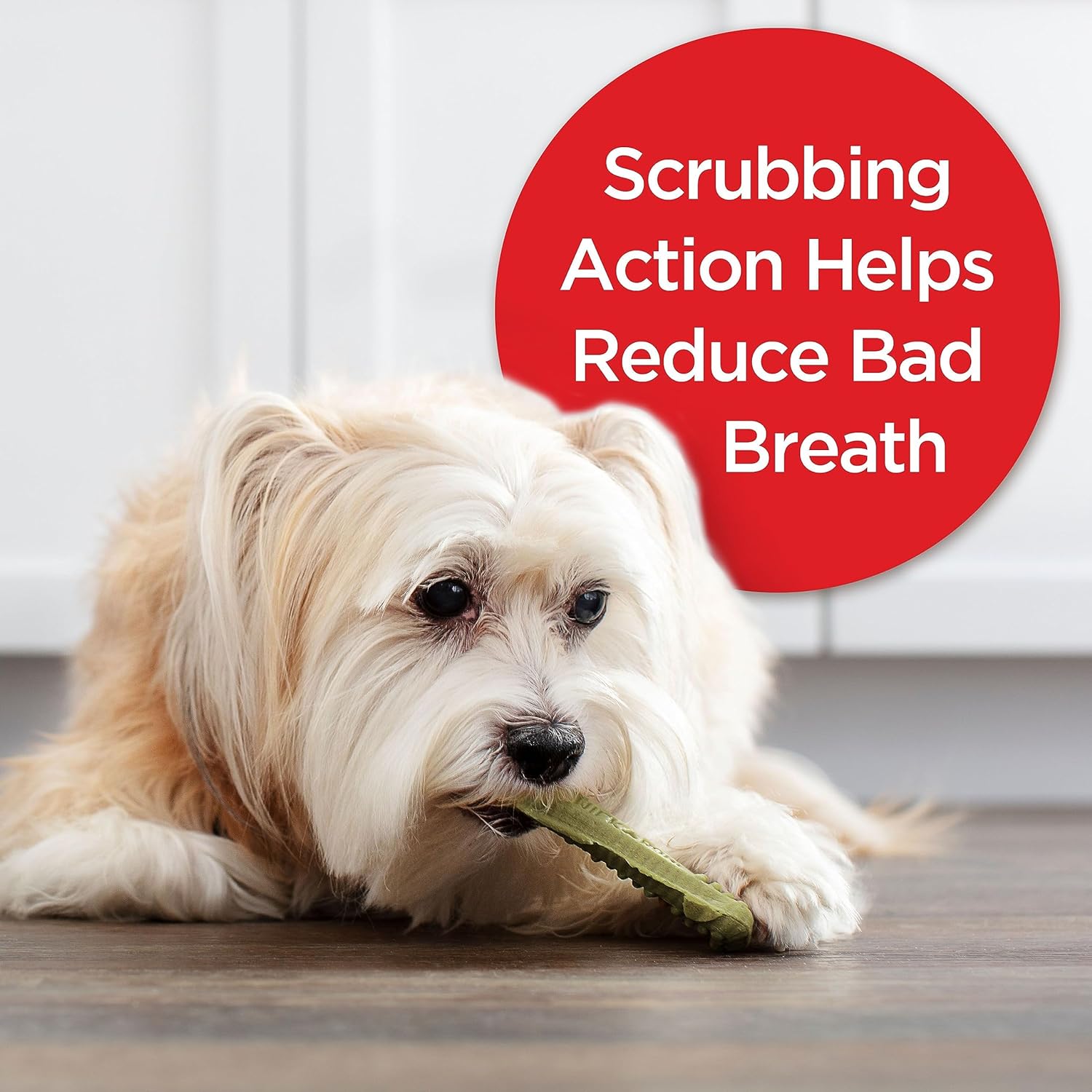 Milk-Bone Fresh Breath Brushing Chews, 48 Mini Daily Dental Dog Treats Scrubbing Action Helps Clean Teeth : Pet Supplies