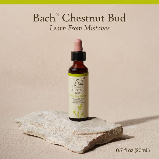 Bach Original Flower Remedies, Chestnut Bud for Learning from Mistakes, Natural Homeopathic Flower Essence, Holistic Wellness and Stress Relief, Vegan, 20mL Dropper