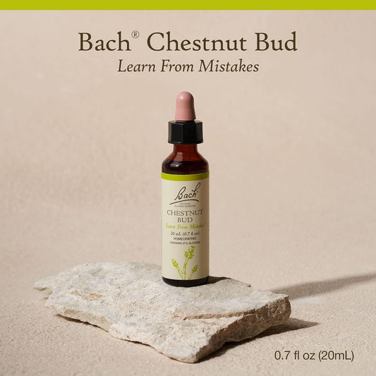 Bach Original Flower Remedies, Chestnut Bud For Learning From Mistakes, Natural Homeopathic Flower Essence, Holistic Wellness And Stress Relief, Vegan, 20Ml Dropper