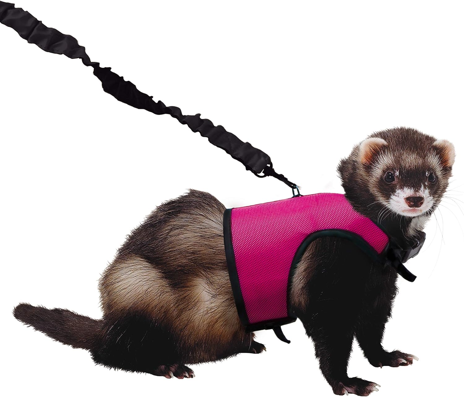 Kaytee Comfort Harness & Stretchy Leash, Medium : Guinea Pig Cage : Pet Supplies