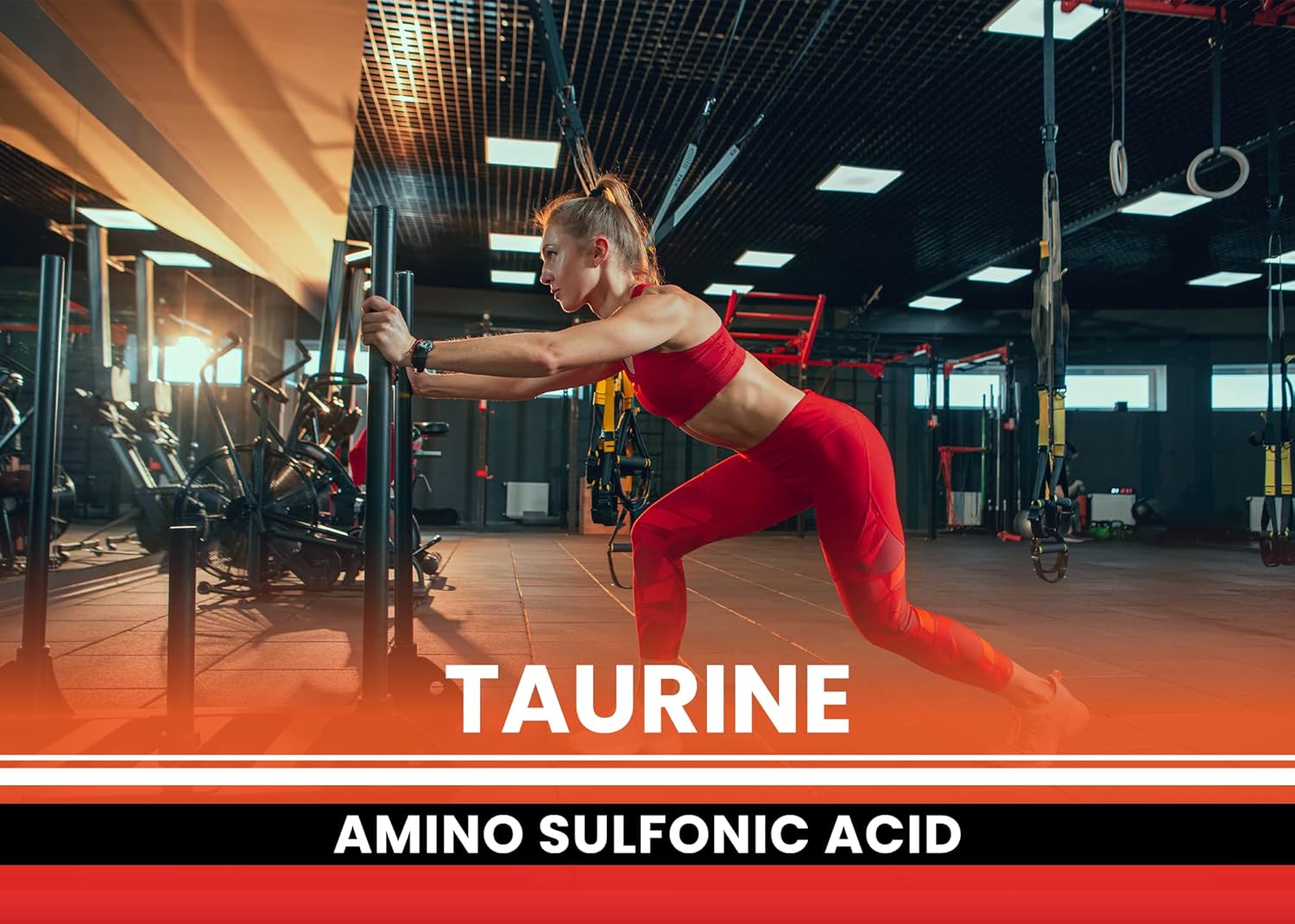 PURE ORIGINAL INGREDIENTS Taurine Powder, 1 lb, Always Pure, No Additives : Health & Household