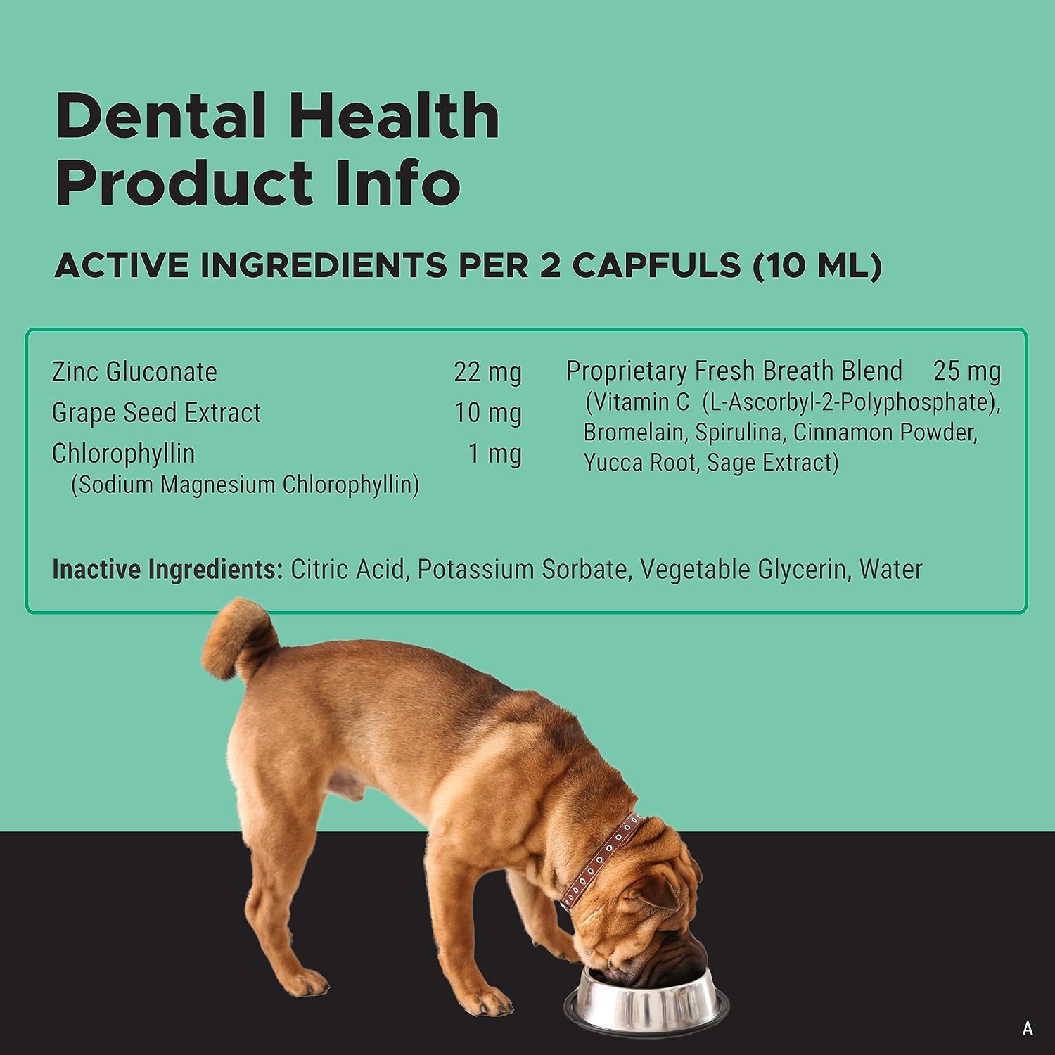 Pet Honesty Oral Hygiene Dental Water Additive | Dog Mouthwash + Teeth Cleaning | Keeps Teeth + Gums Clean | Freshens Breath + Targets Plaque + Tartar - 8 oz : Pet Supplies