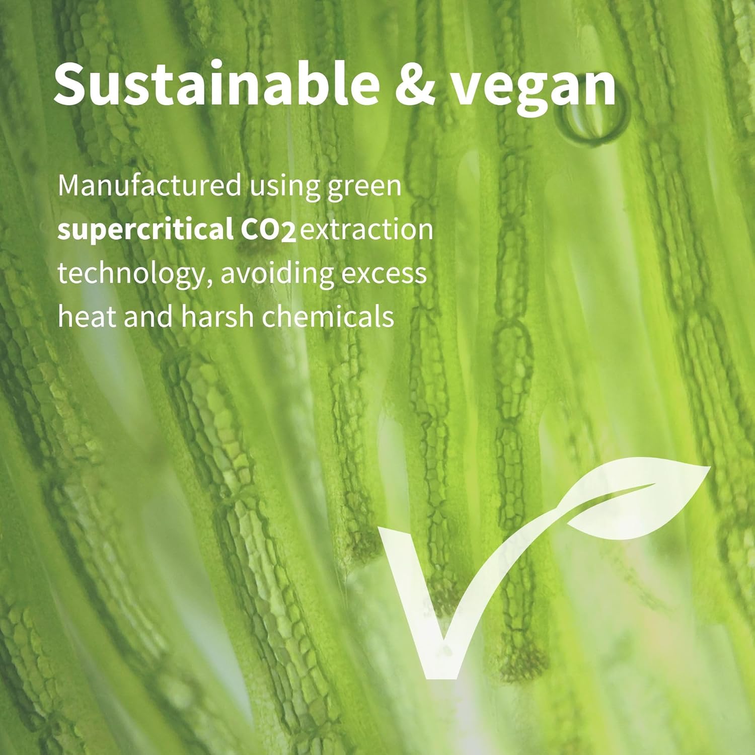 Igennus Vegan Astaxanthin 4Mg Complex With Lutein And Zeaxanthin, 90 Small Softgels, From 42 Mg Astapure, Natural Algae Antioxidant For Eyes, Skin & Joints, Non-Gmo, H. Pluvialis : Health & Household