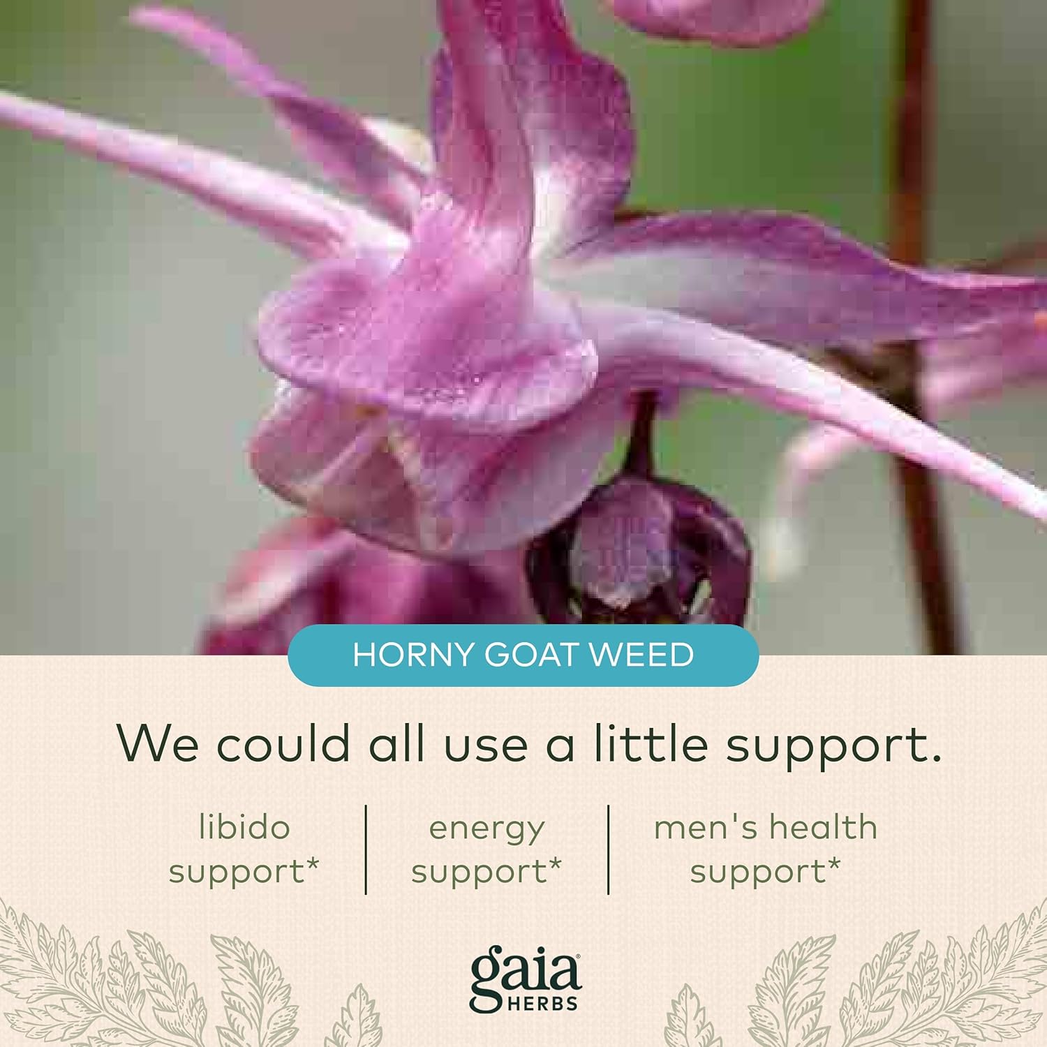 Gaia Herbs Male Libido - Herbal Supplement with Saw Palmetto, Horny Goat Weed, Maca & Oats - Supports Stamina, Vitality & Hormone Balance for Men - 120 Vegan Liquid Phyto-Capsules (30-Day Supply) : Health & Household